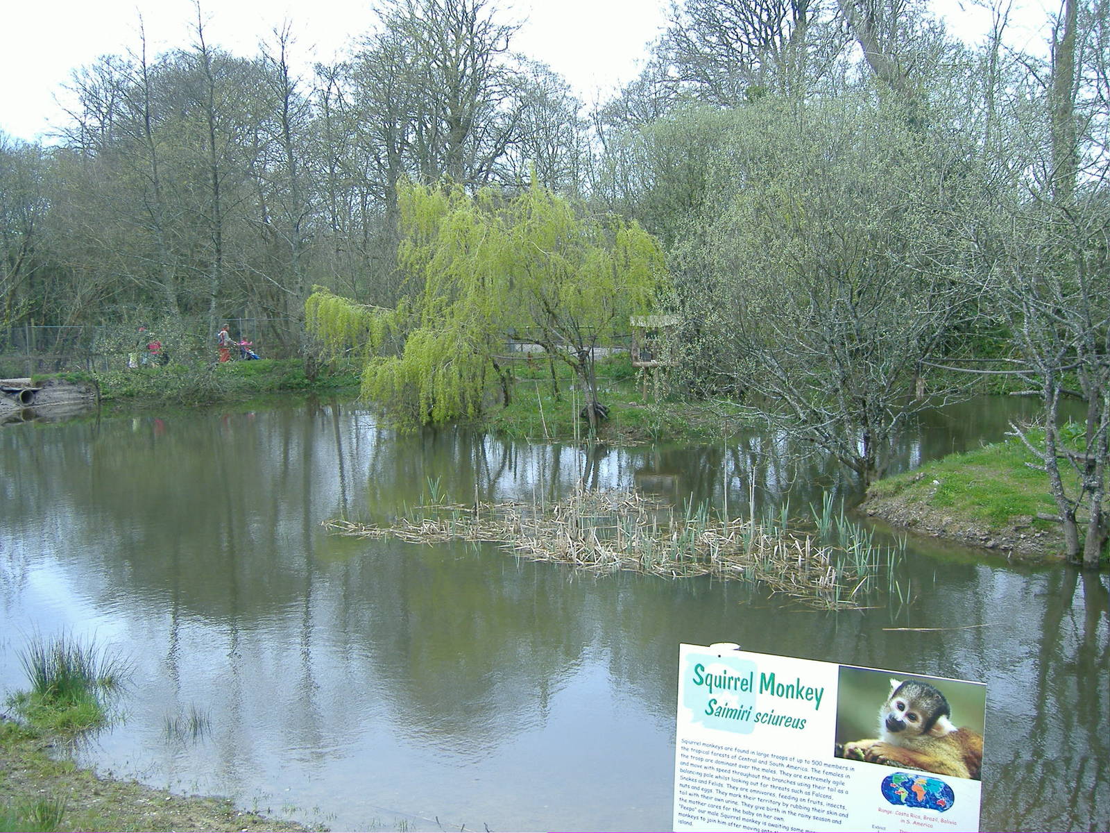 Marmoset and Squirrel Monkey Islands Manor House