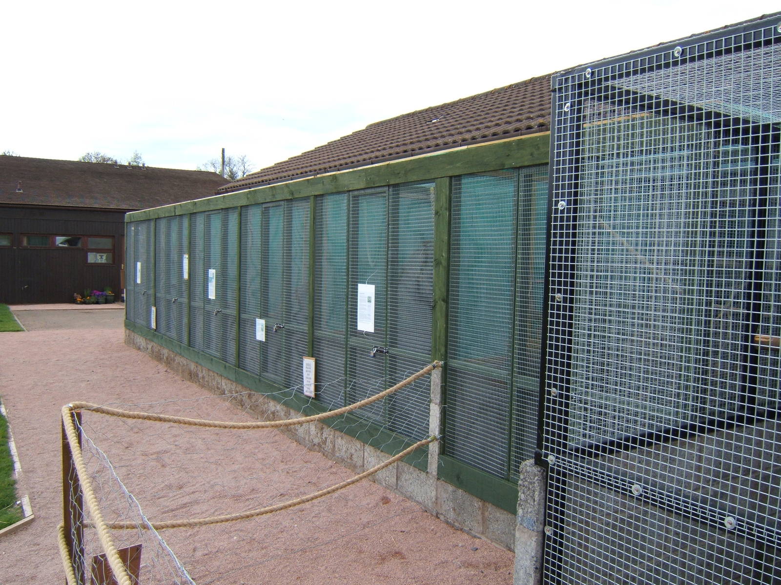 Marmoset and Tamarin enclosure