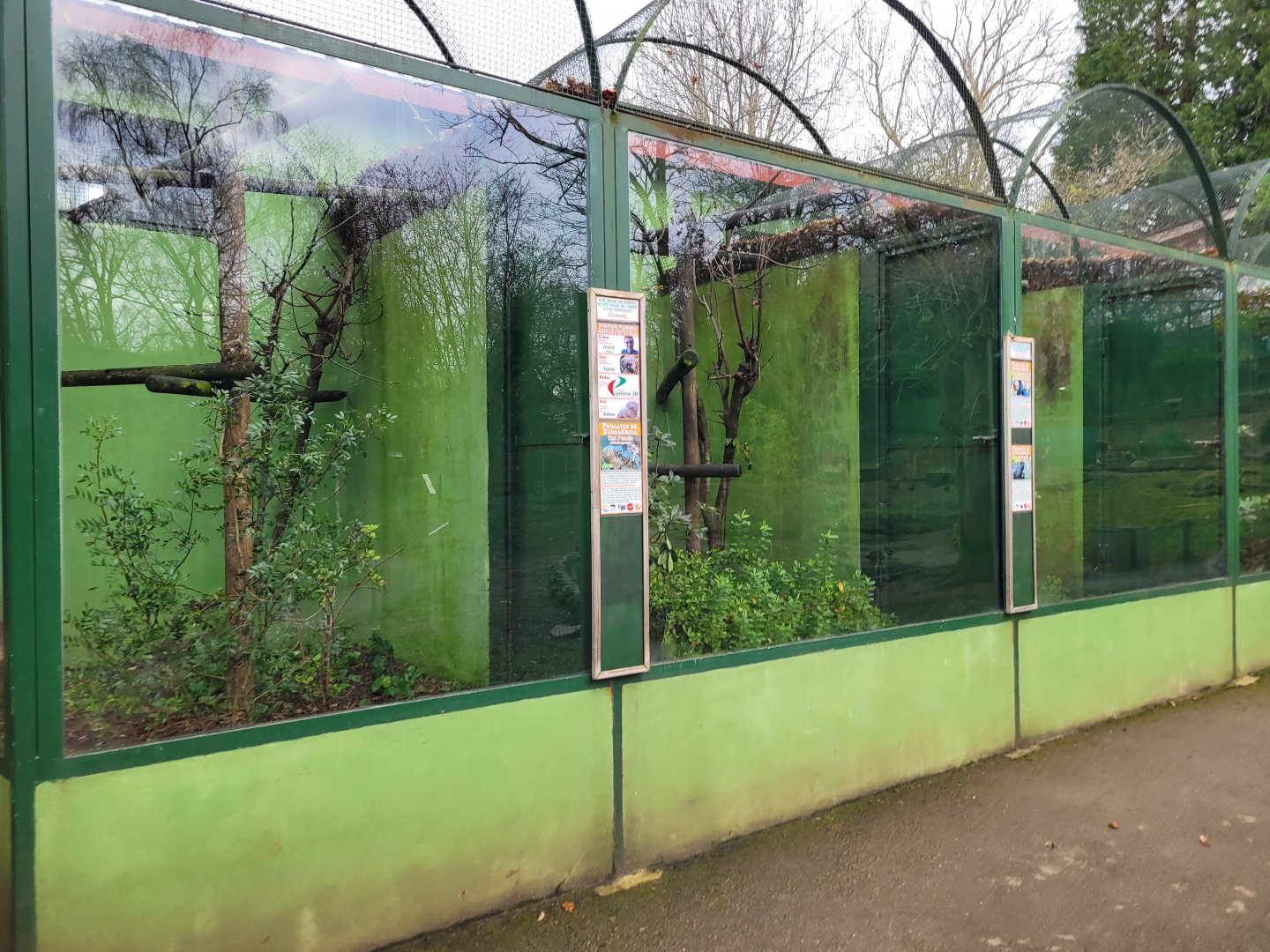 Marmoset and tamarin enclosures -Zoo de Santillana del Mar (2023)