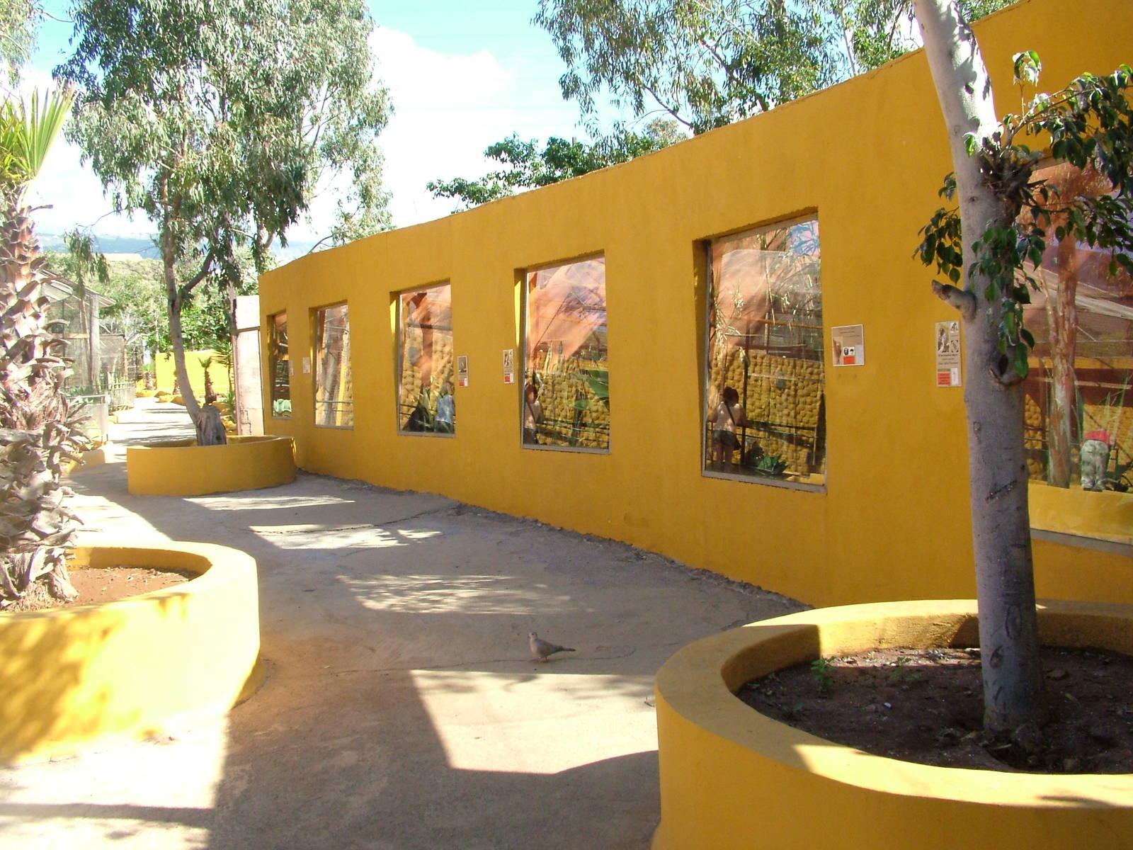 Marmoset and Tamarin Exhibits at Monkey Park, 09/11/10