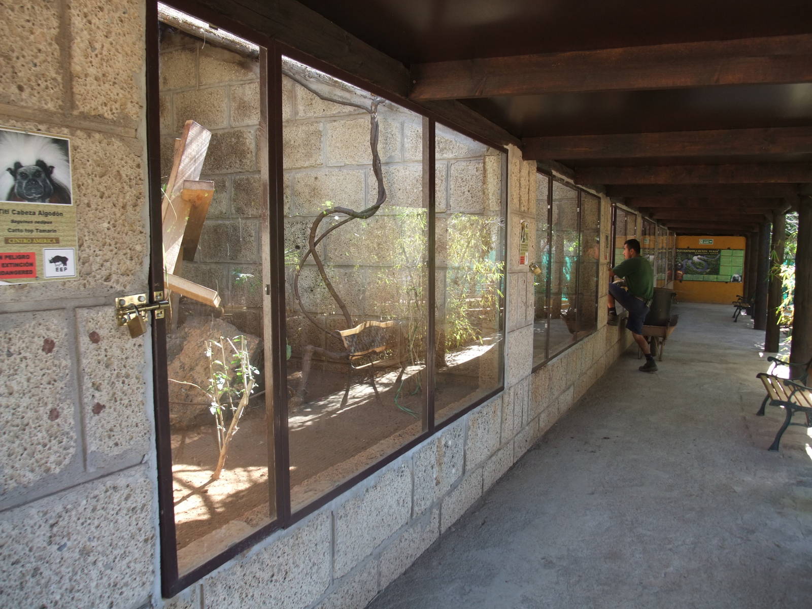 Marmoset and Tamarin Exhibits at Monkey Park, 09/11/10