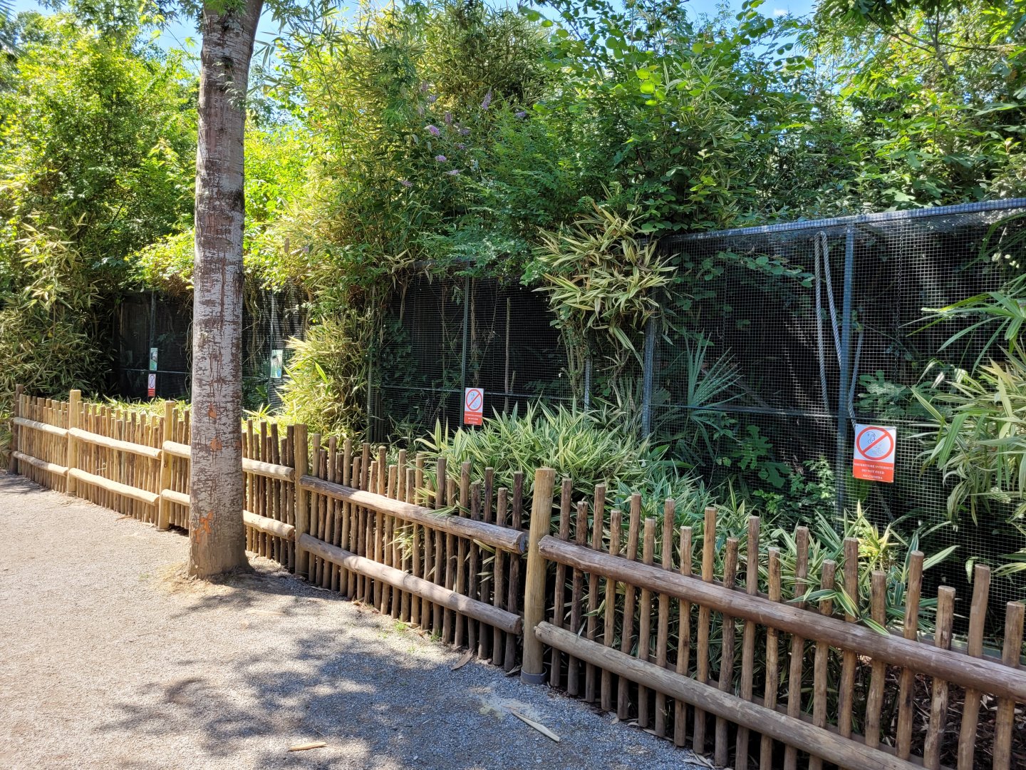 Marmoset and tamarin exhibits -Zoo d'Asson (2022)