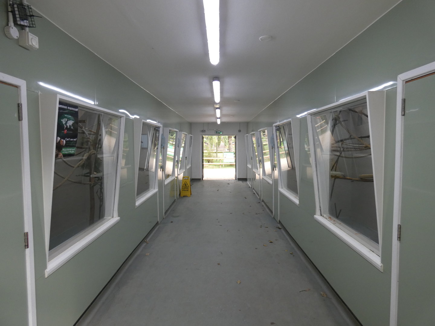 Marmoset and Tamarin house