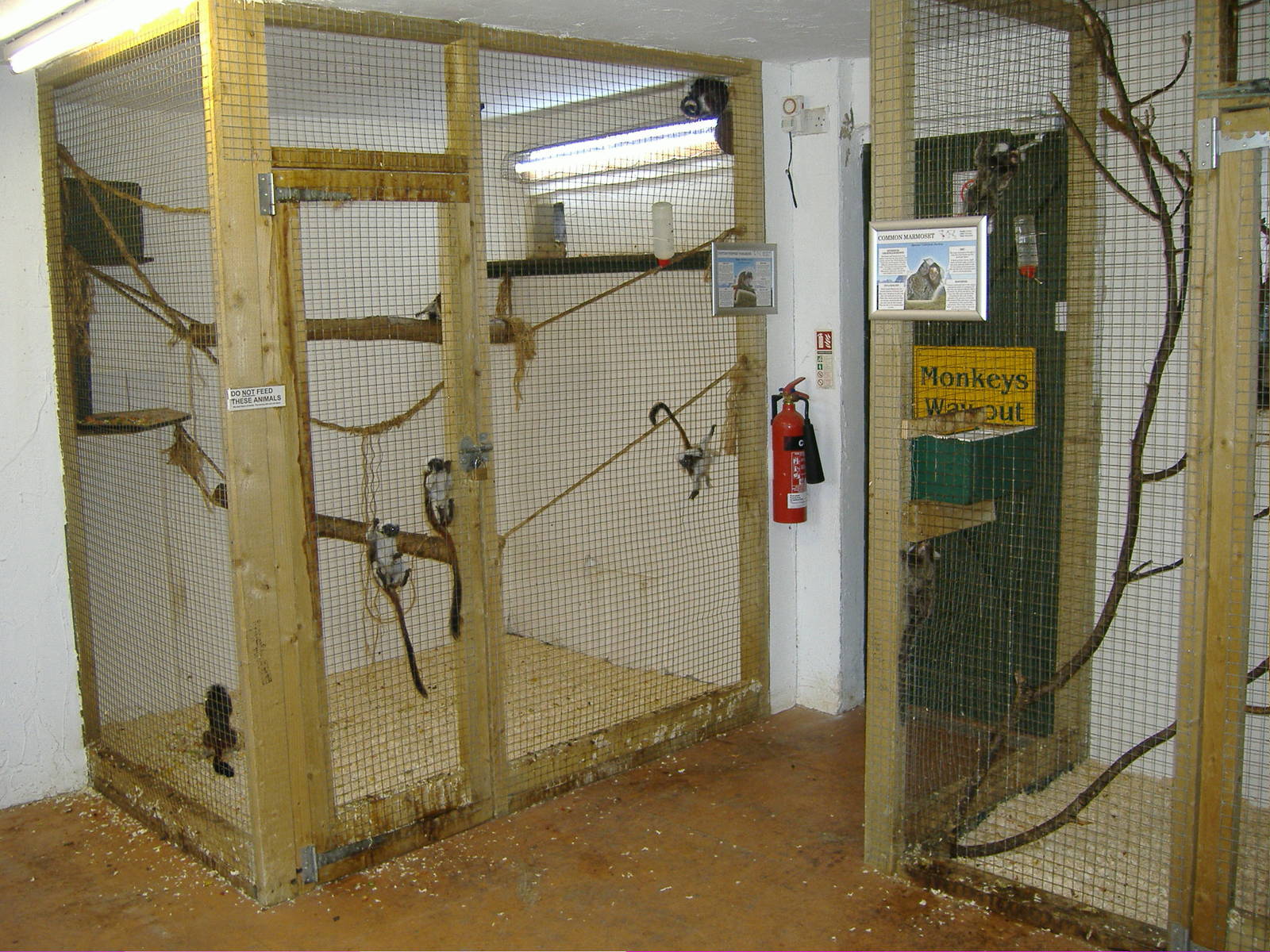 Marmoset and Tamarin indoor accomodation