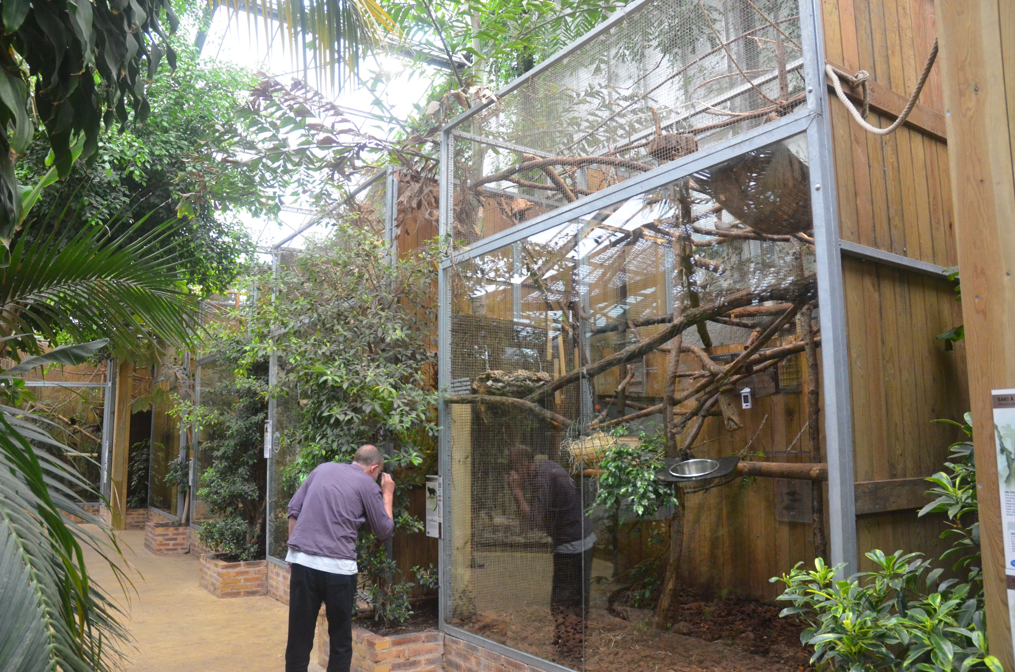Marmoset and Tamarin Indoor Enclosures at Beauval, 12/06/18