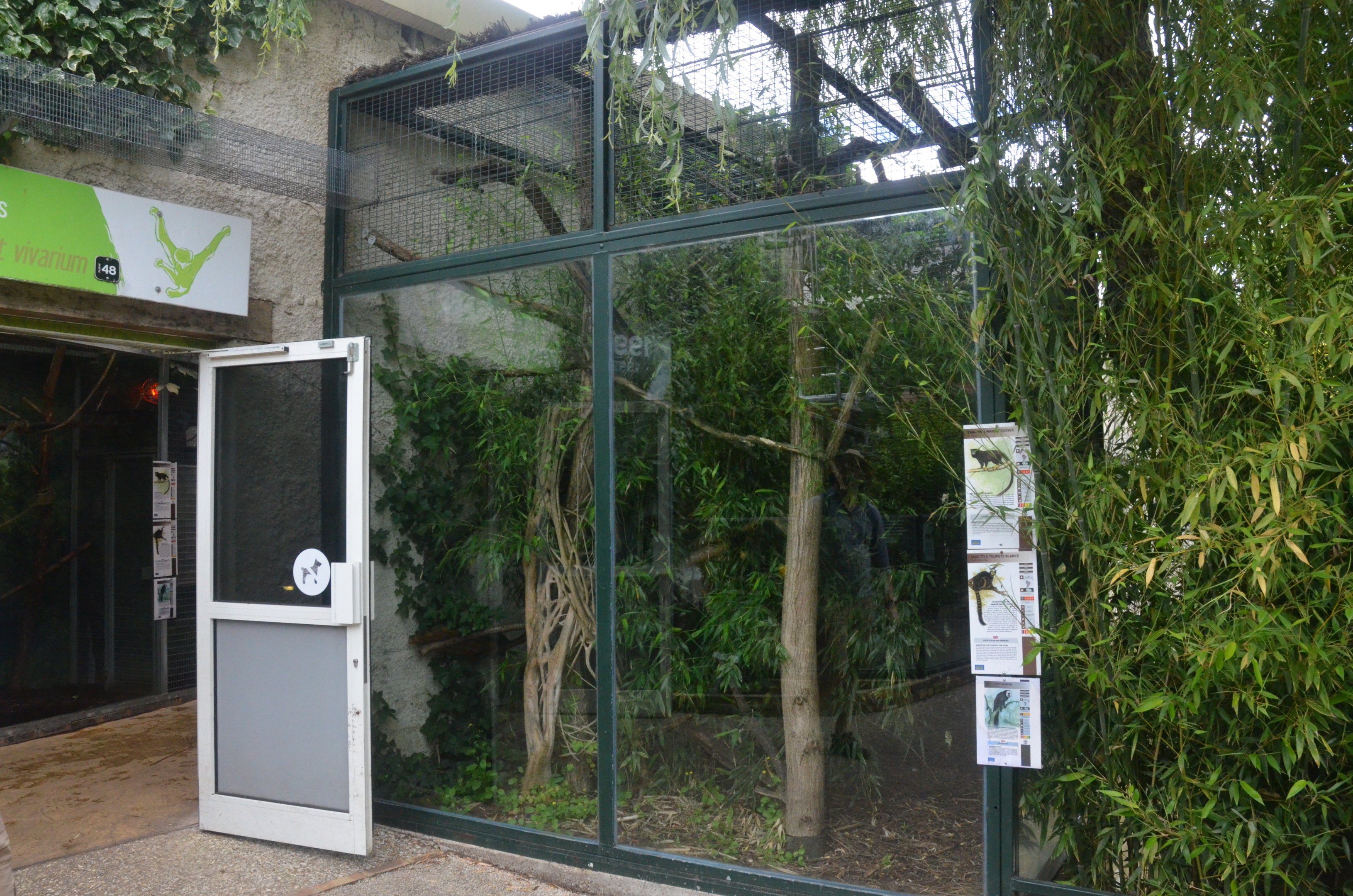 Marmoset and Tamarin Outdoor Enclosures at Beauval, 12/06/18