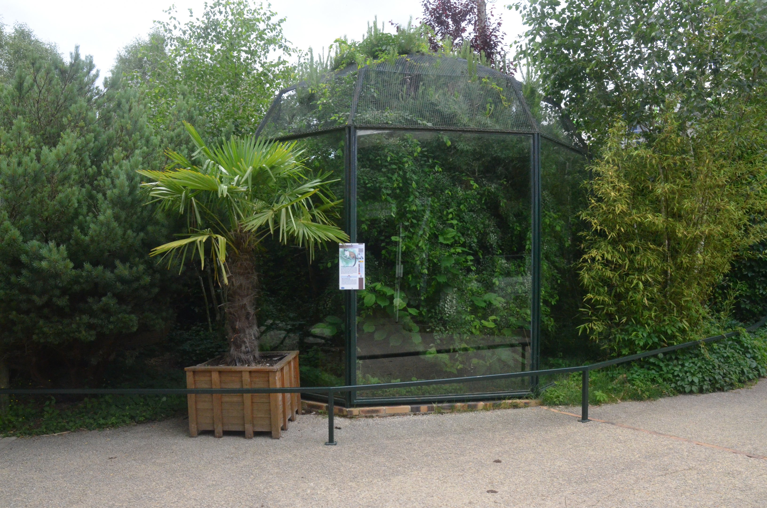 Marmoset and Tamarin Outdoor Enclosures at Beauval, 12/06/18