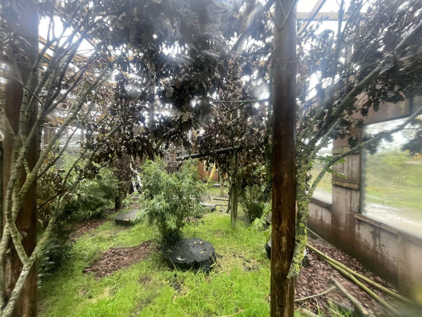 Marmoset and Titi Monkey Enclosure