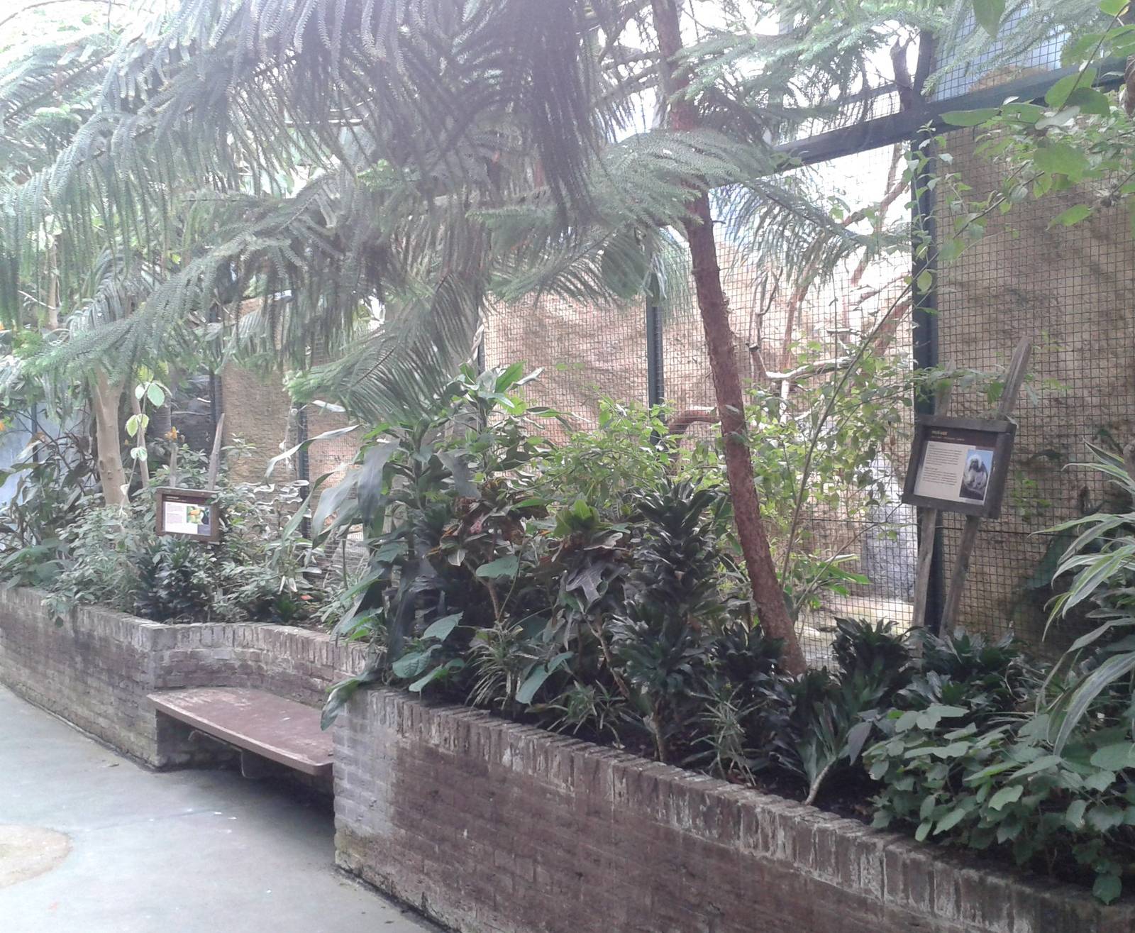 Marmoset and Toco tucan enclosures