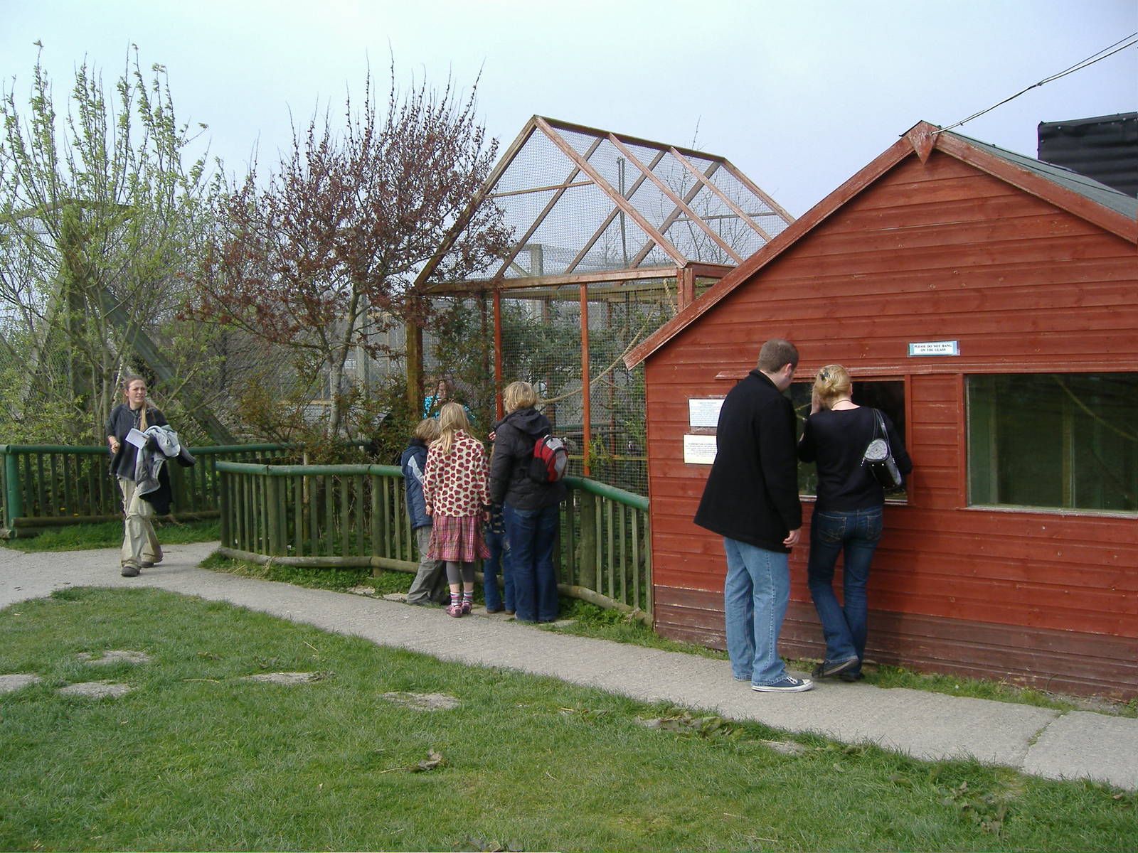 Marmoset -Animalarium