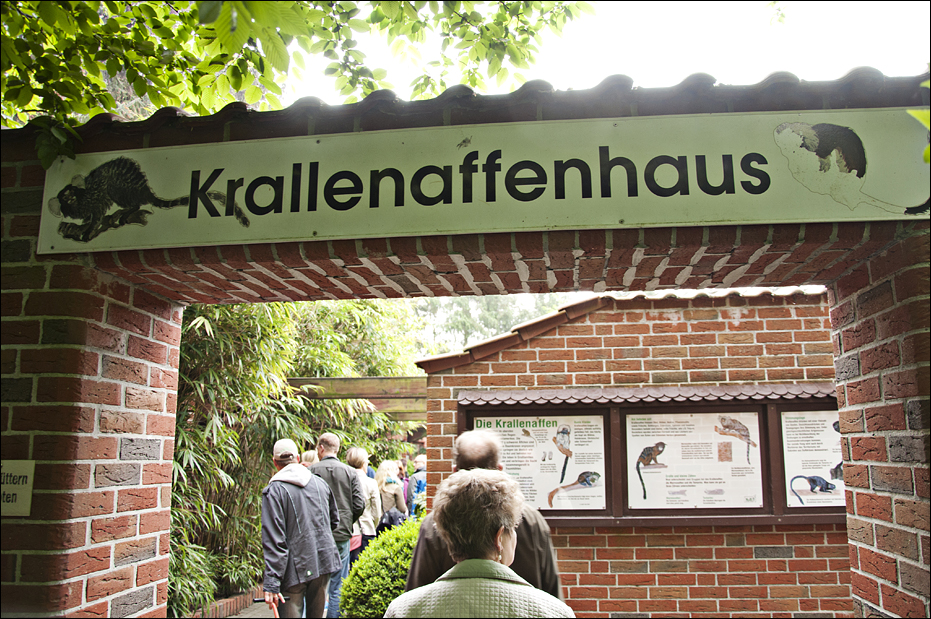 Marmoset-area at Thüle