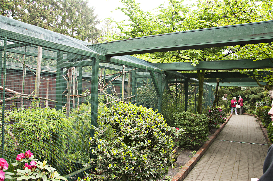 Marmoset-area at Thüle