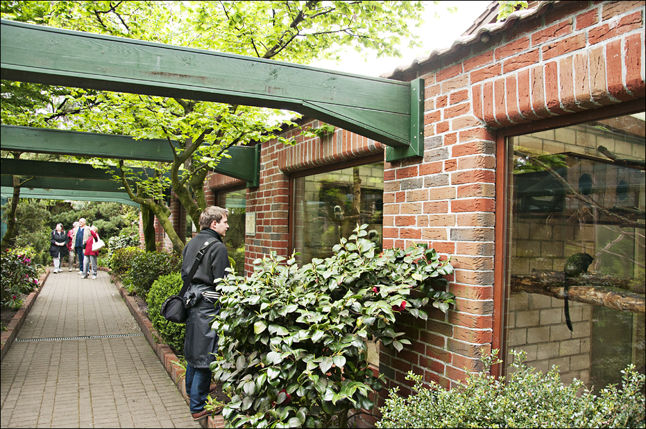 Marmoset-area at Thüle