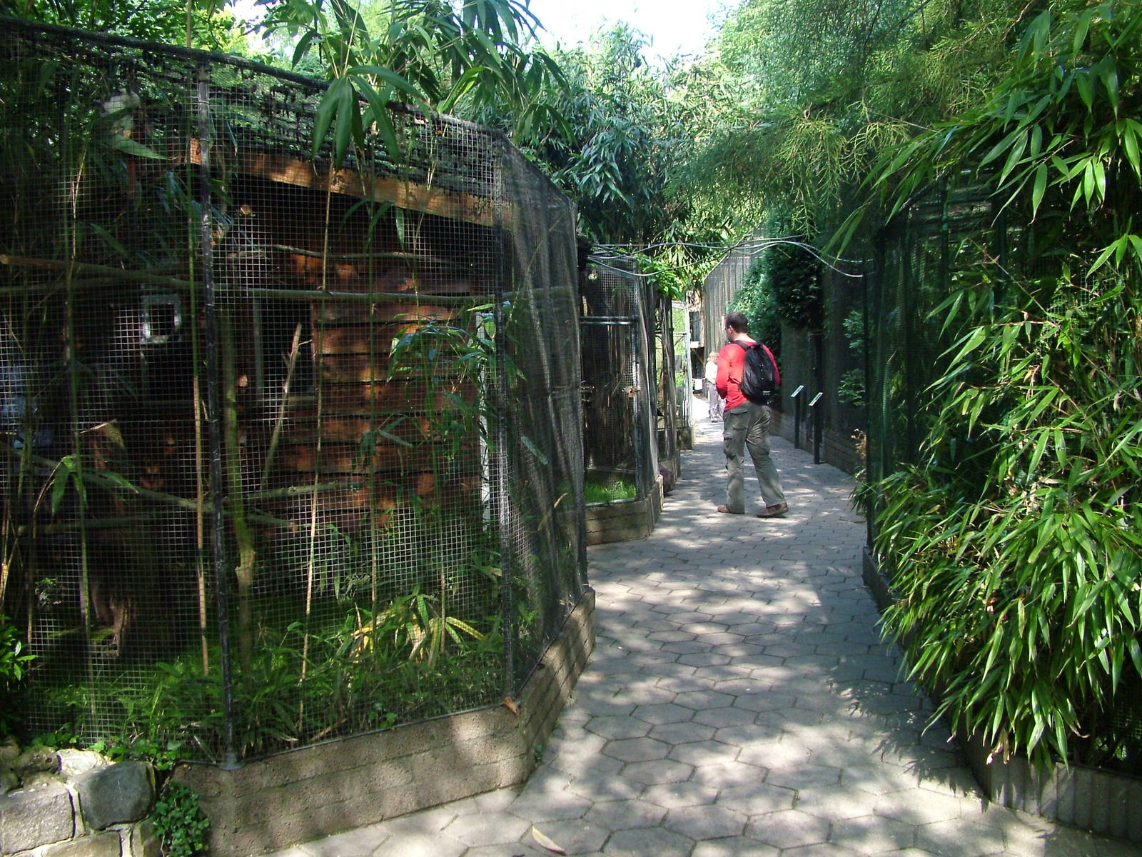 Marmoset cages at BestZoo 16/05/09