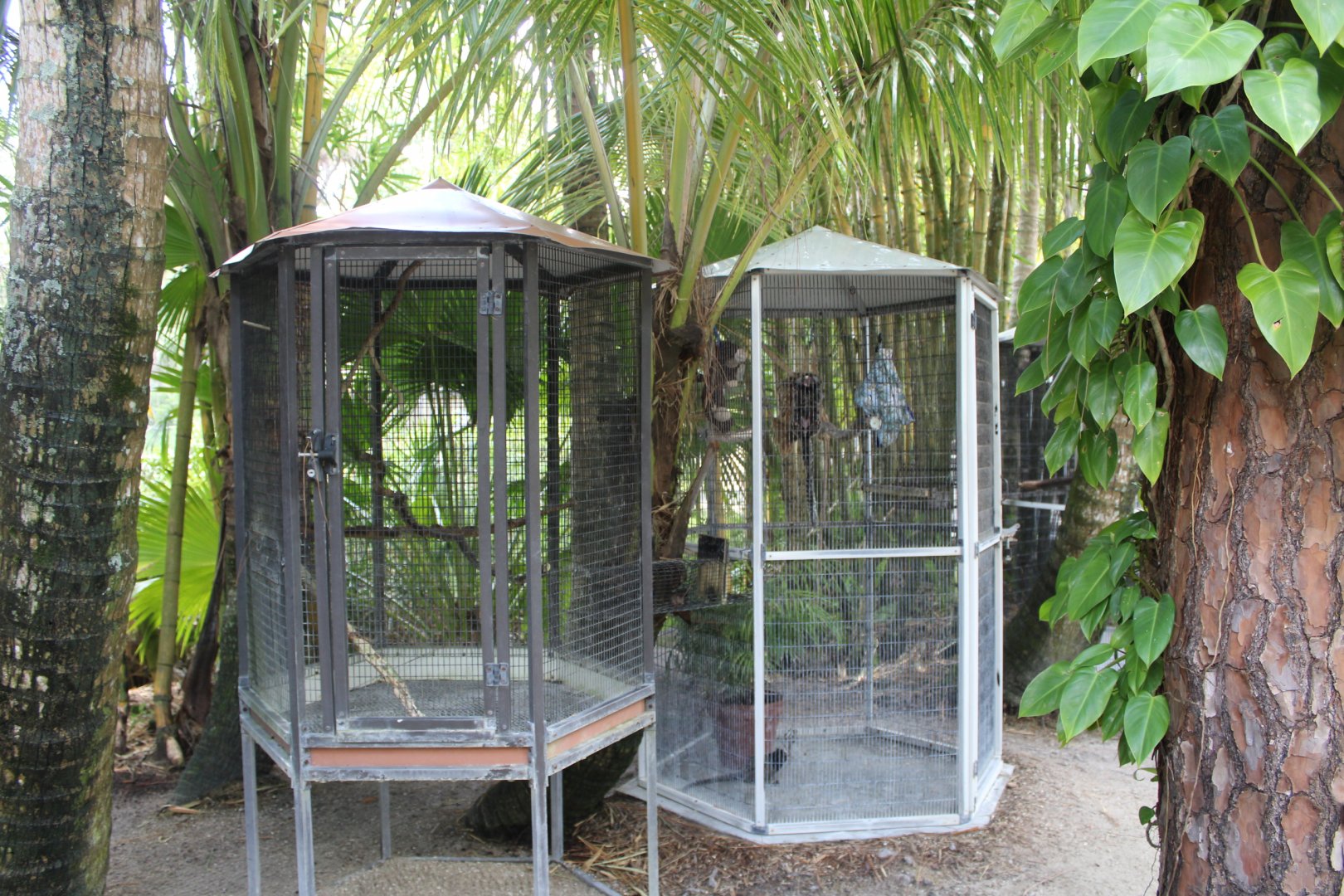 Marmoset Cages - Mccarthy Wildlife Sanctuary