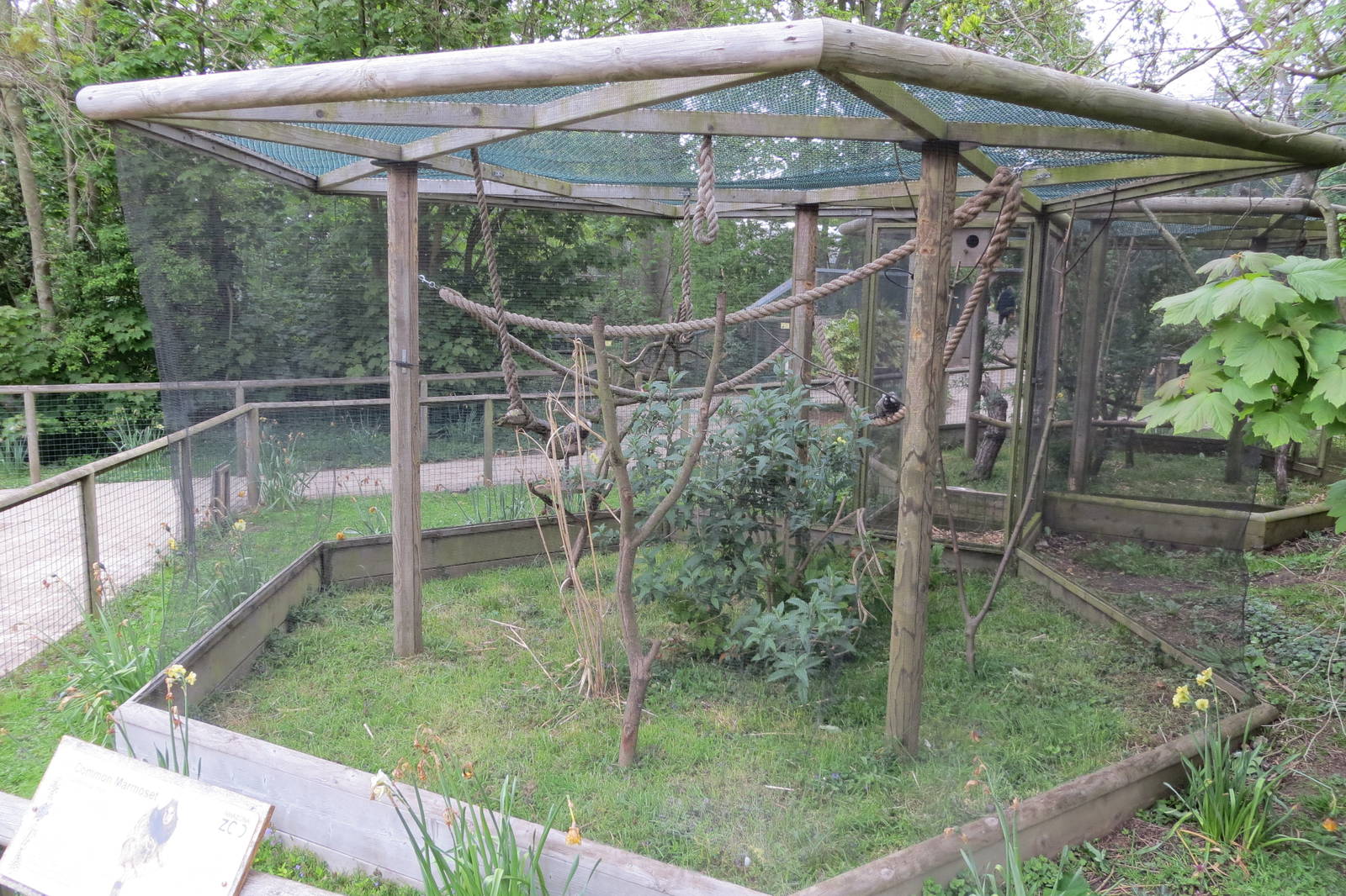 Marmoset Enclosure 070515