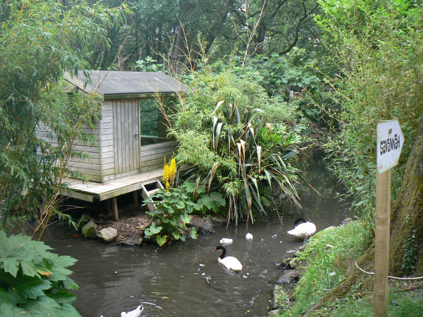 Marmoset Enclosure - 11 July 2018