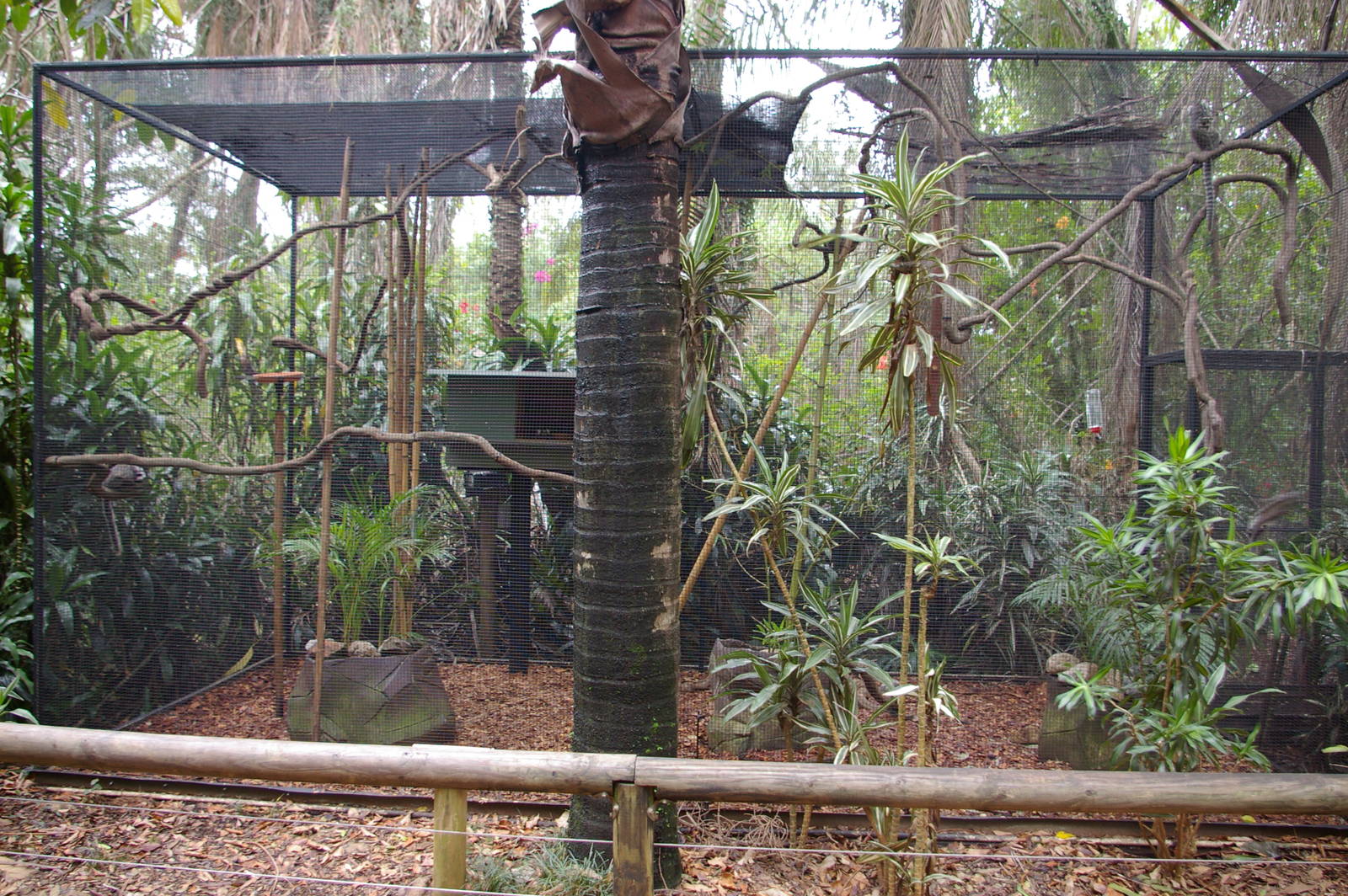 marmoset enclosure, Alma Park Zoo