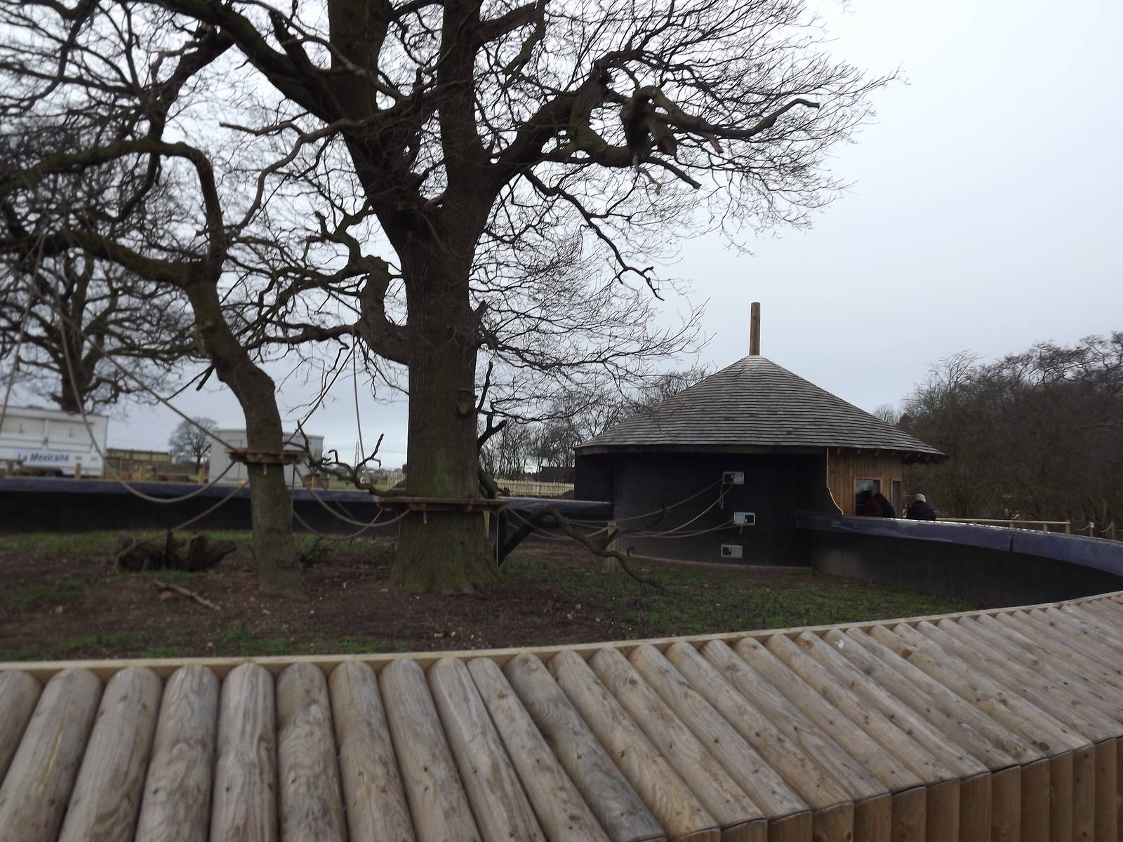 Marmoset enclosure at Yorkshire Wildlife Park 18/02/12