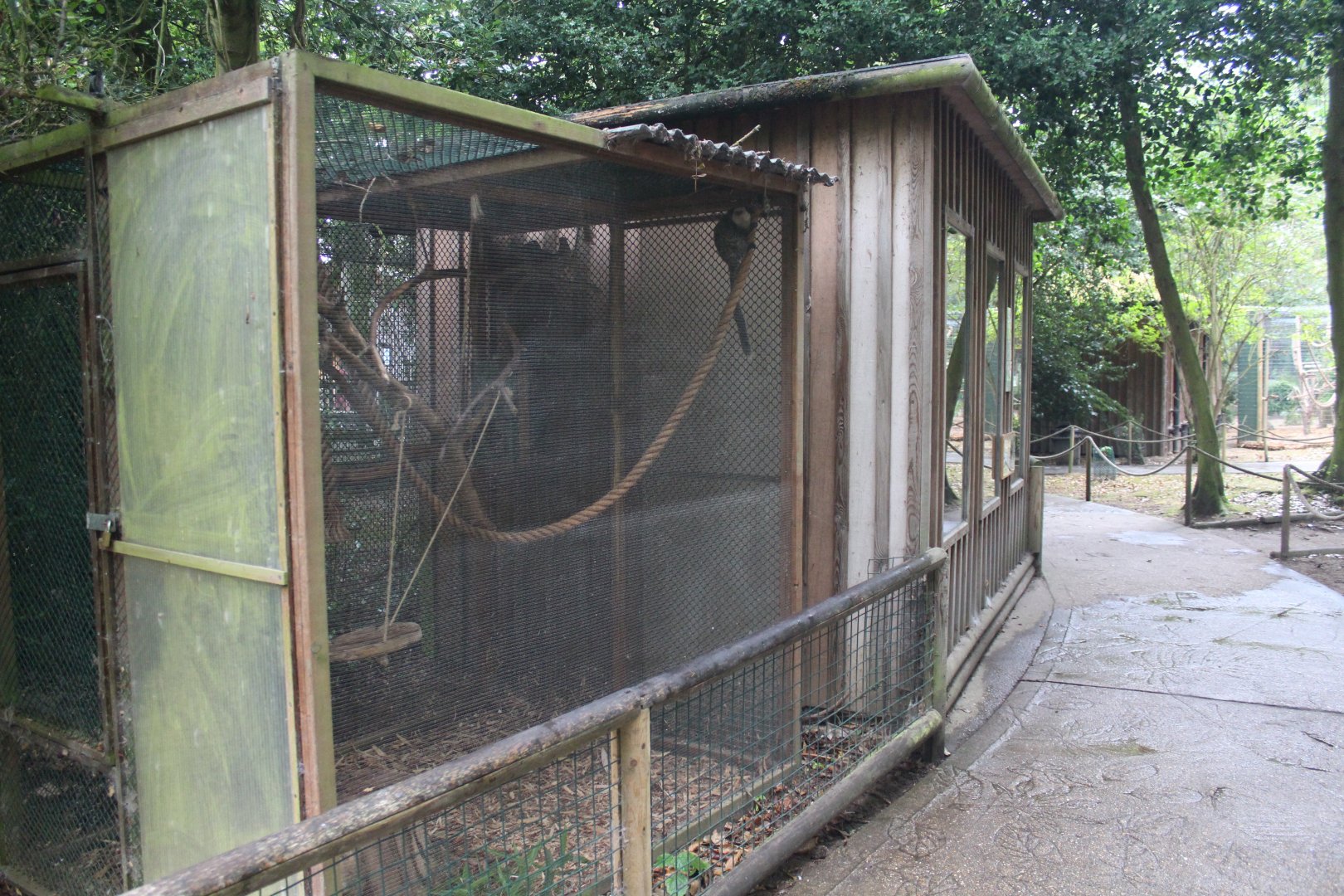 Marmoset enclosure
