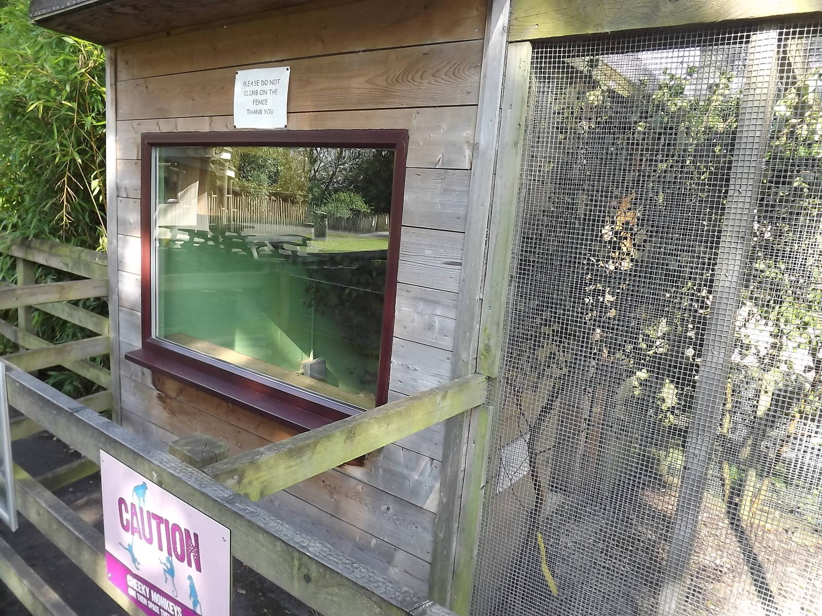 Marmoset exhibit at Knowsley Safari Park 08/09/12