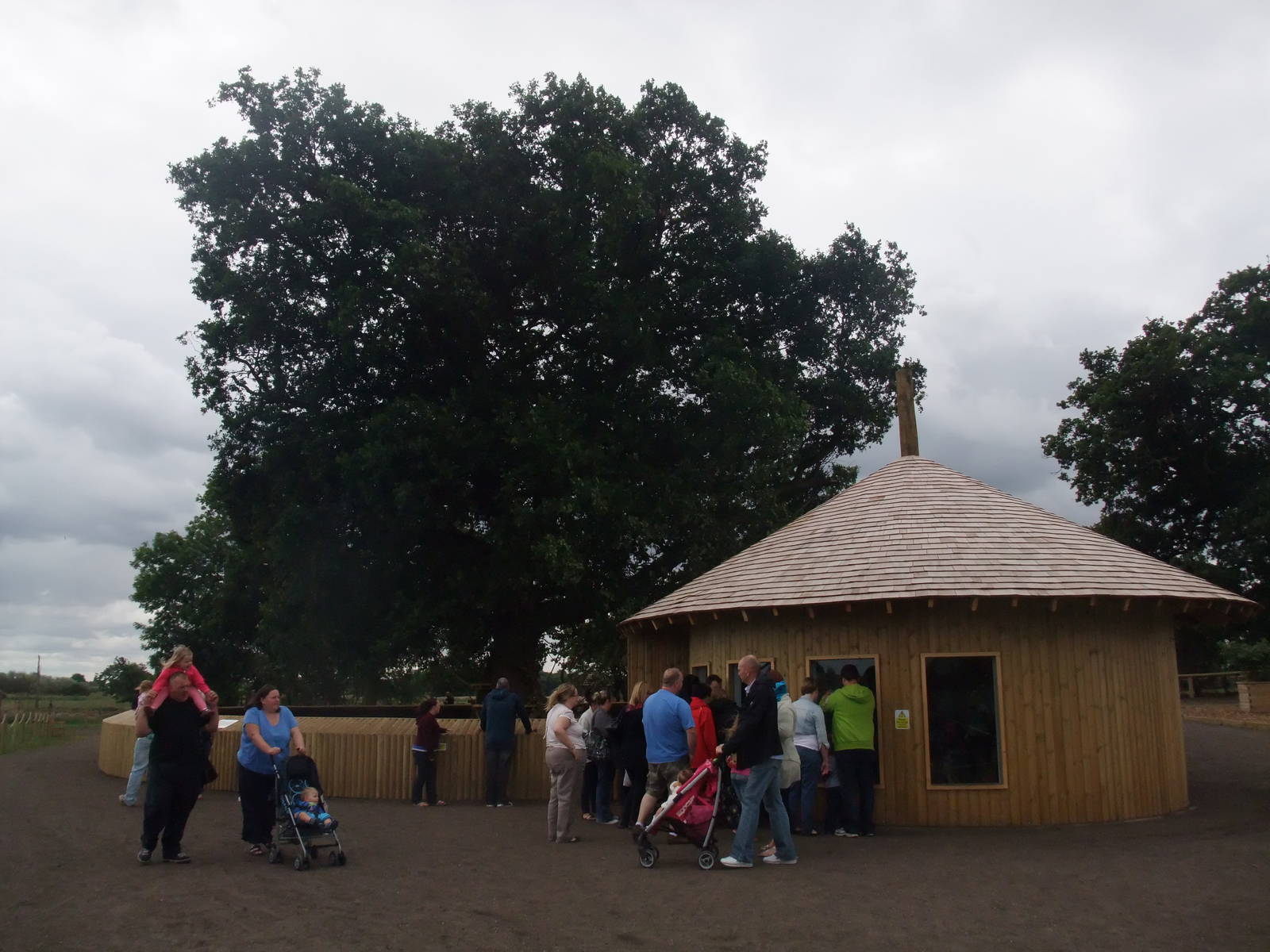 Marmoset Exhibit at Yorkshire WP, 07/08/11