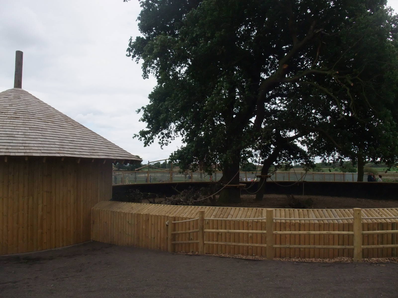 Marmoset Exhibit at Yorkshire WP, 07/08/11