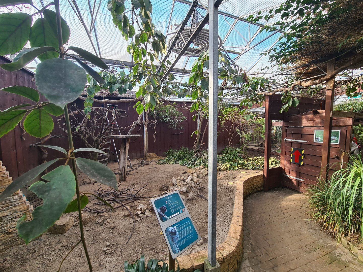 Marmoset hall - General look