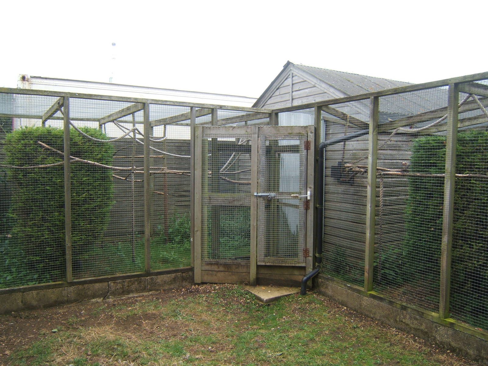 Marmoset House out door enclosures