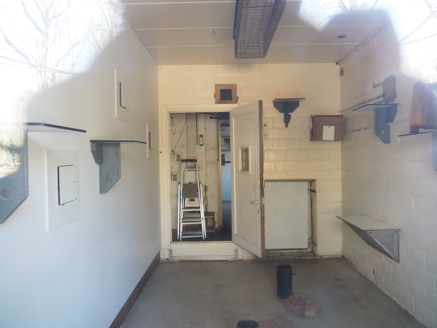 Marmoset indoor housing, emptied for cleaning and refurbishment, 2022-03-08