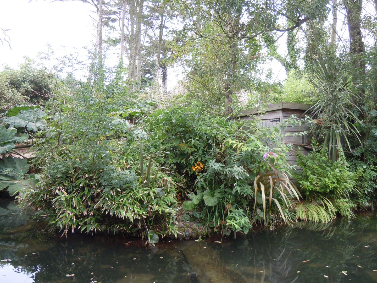 Marmoset Island 070920