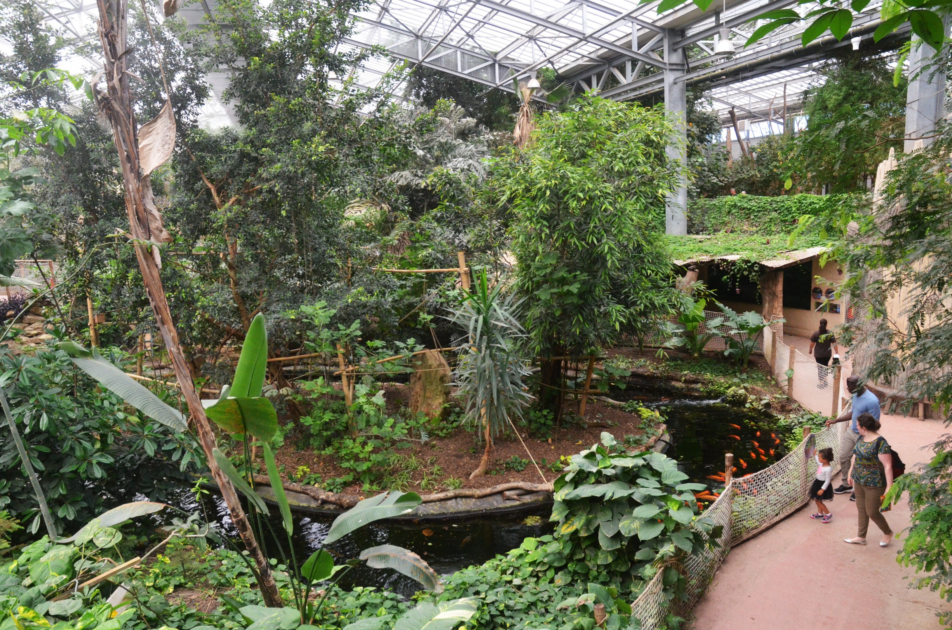 Marmoset Island at Biotropica, 16/06/18