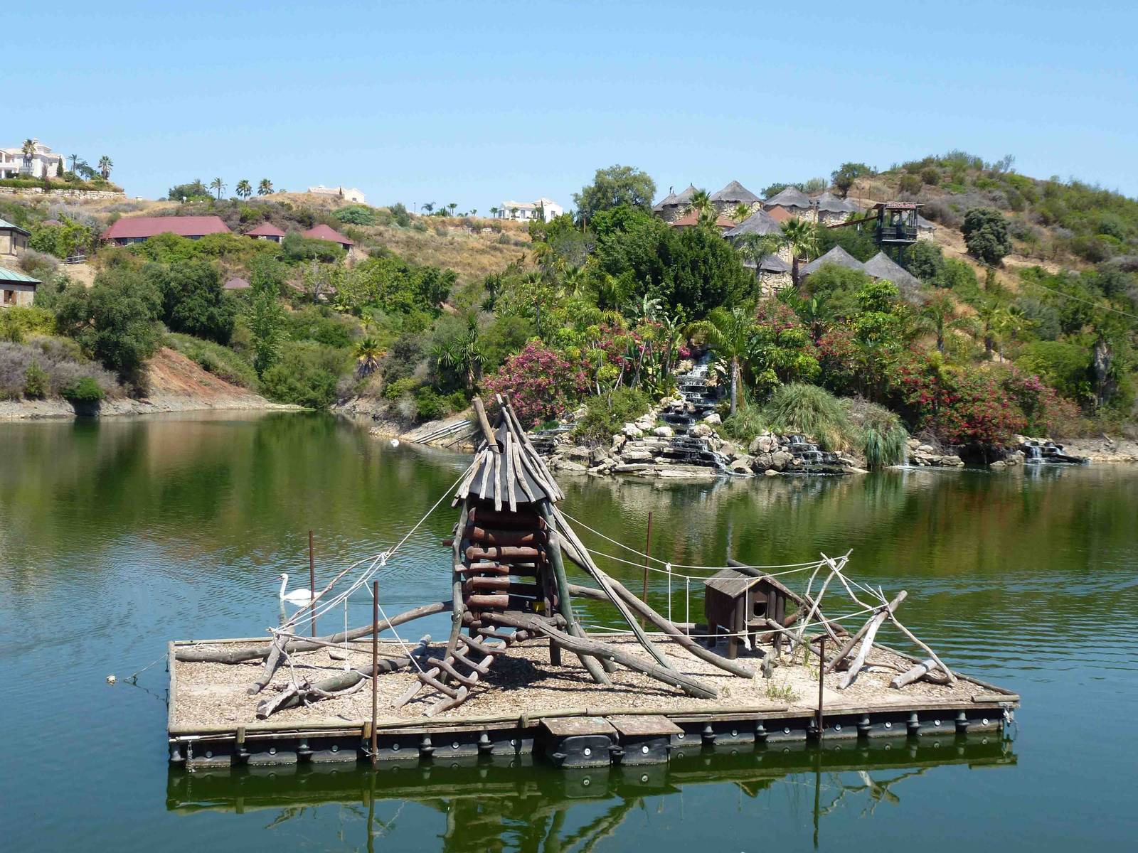 Marmoset 'island'? July 2013.