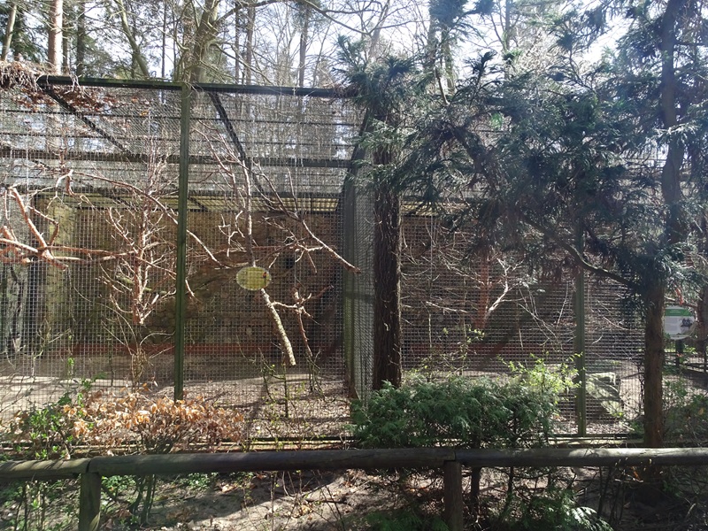 Marmoset / lorikeet enclosures