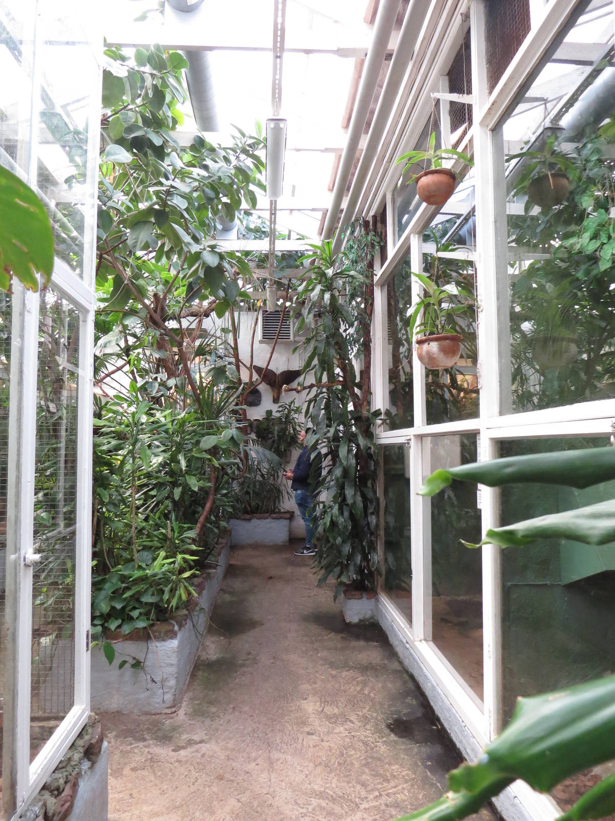 Marmoset/other enclosures, June 2015