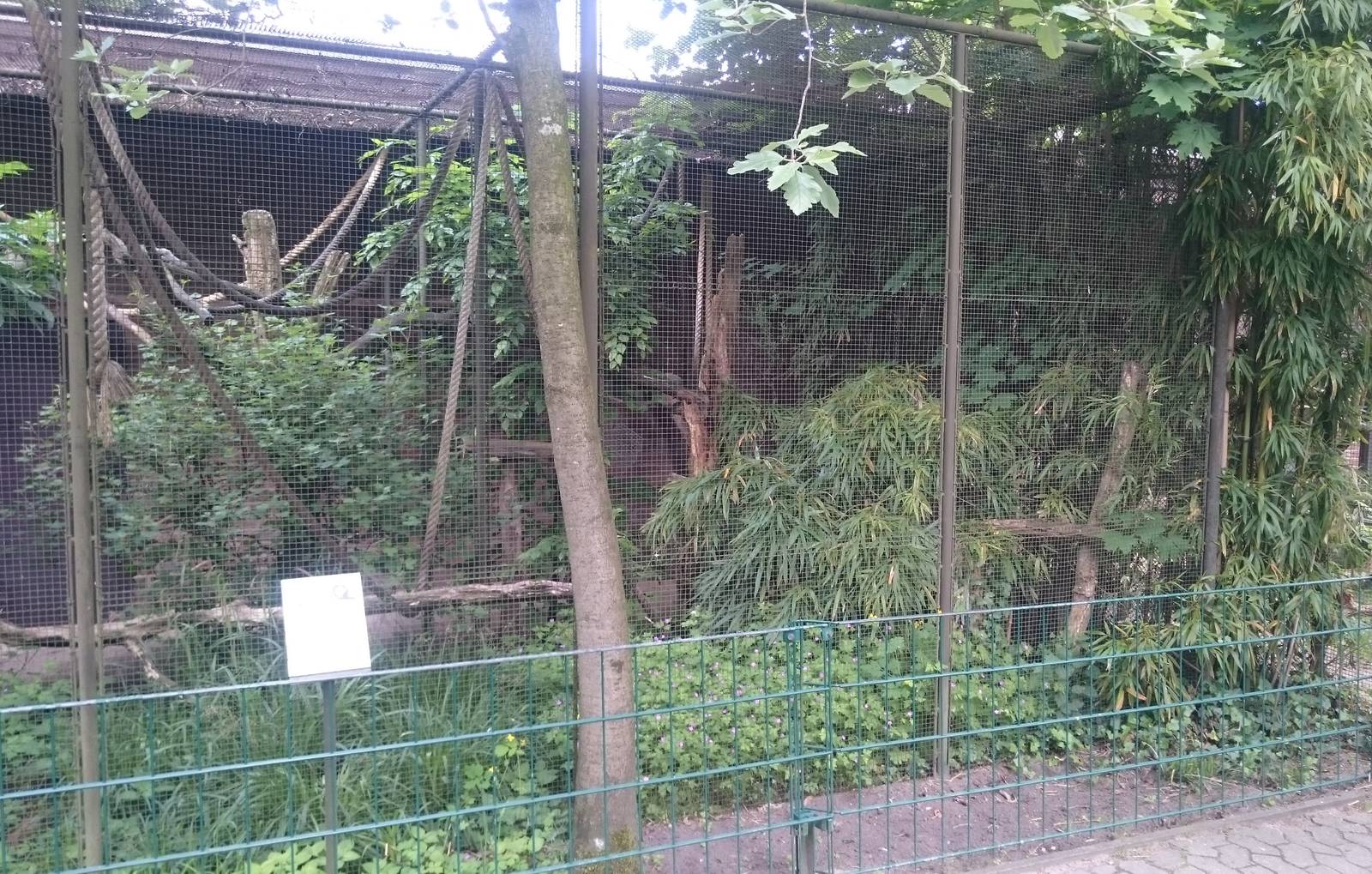 Marmoset outdoor-enclosure