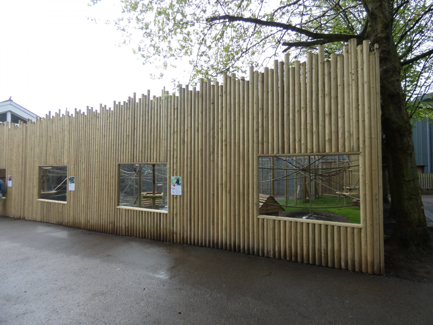 Marmoset outdoor enclosure