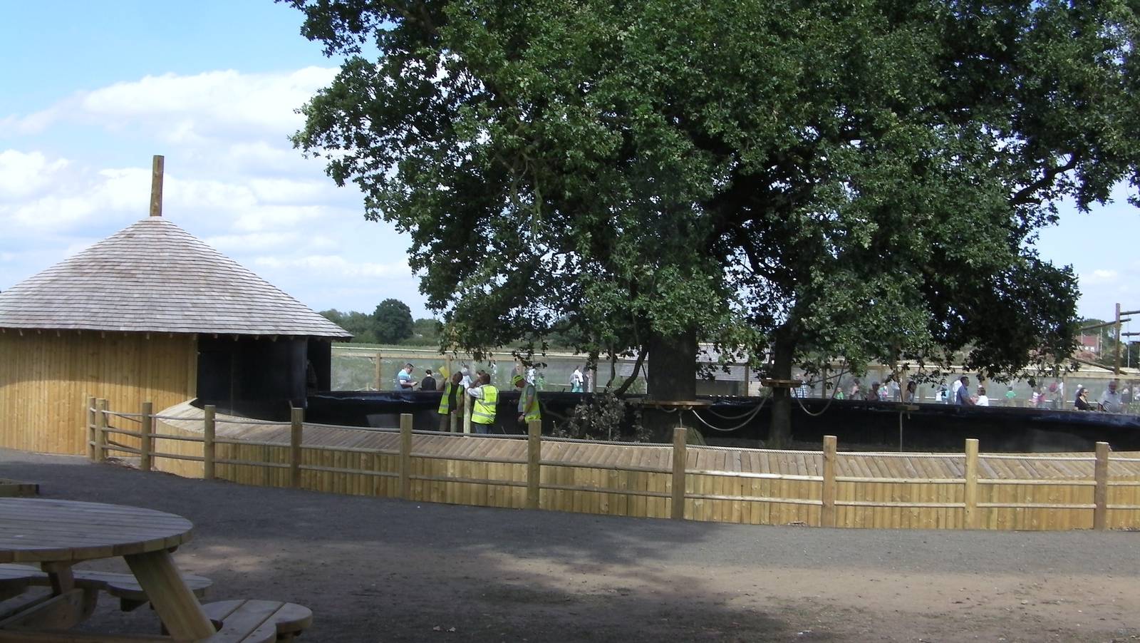 Marmoset Outside Enclosure Construction Works - 19.08.2011
