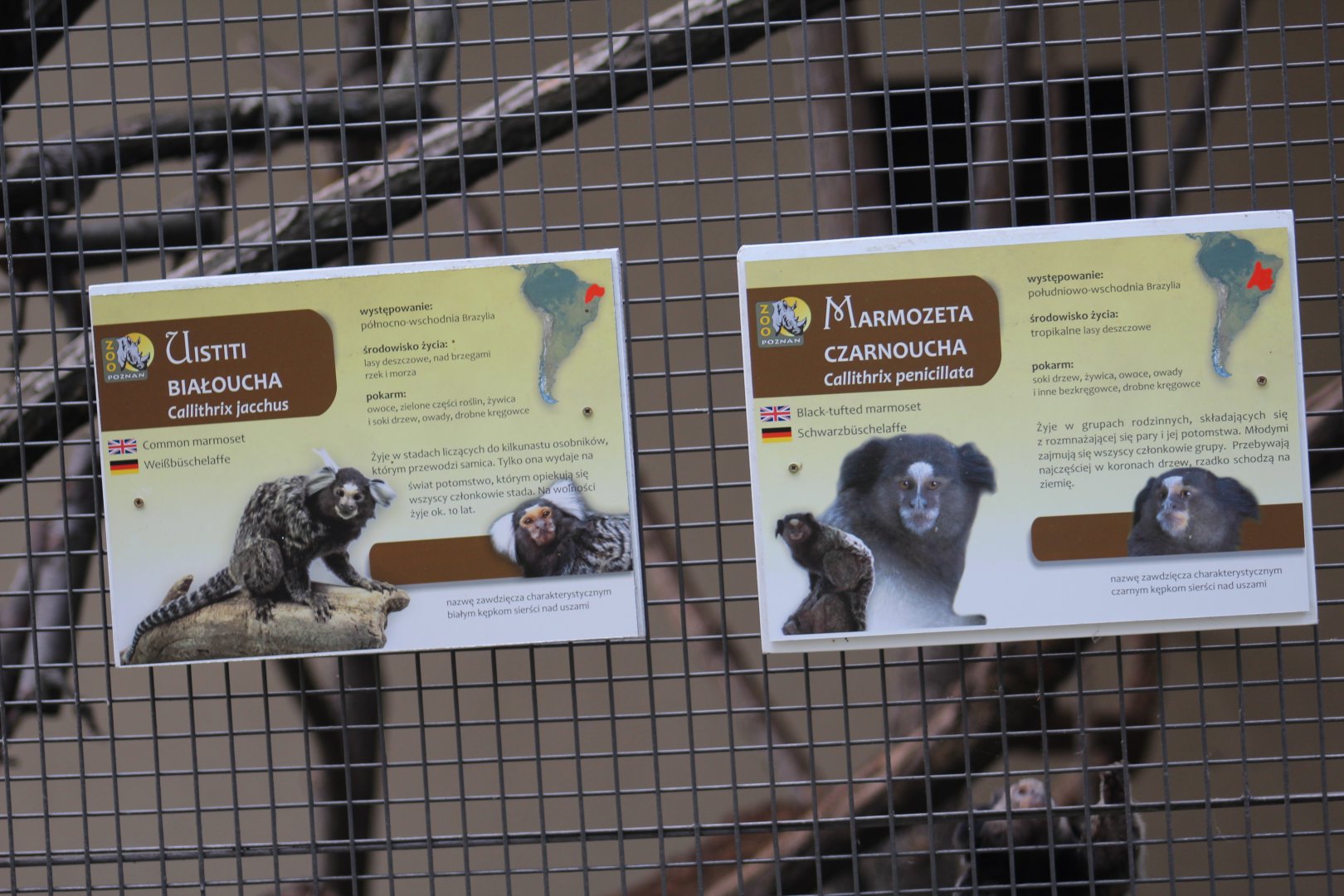 Marmoset Signage