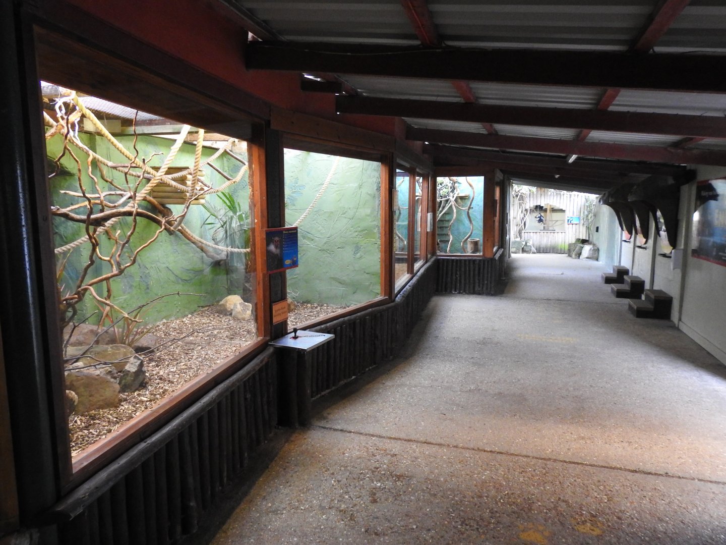 Marmoset, Tamarin and Mantled Guereza Enclosures