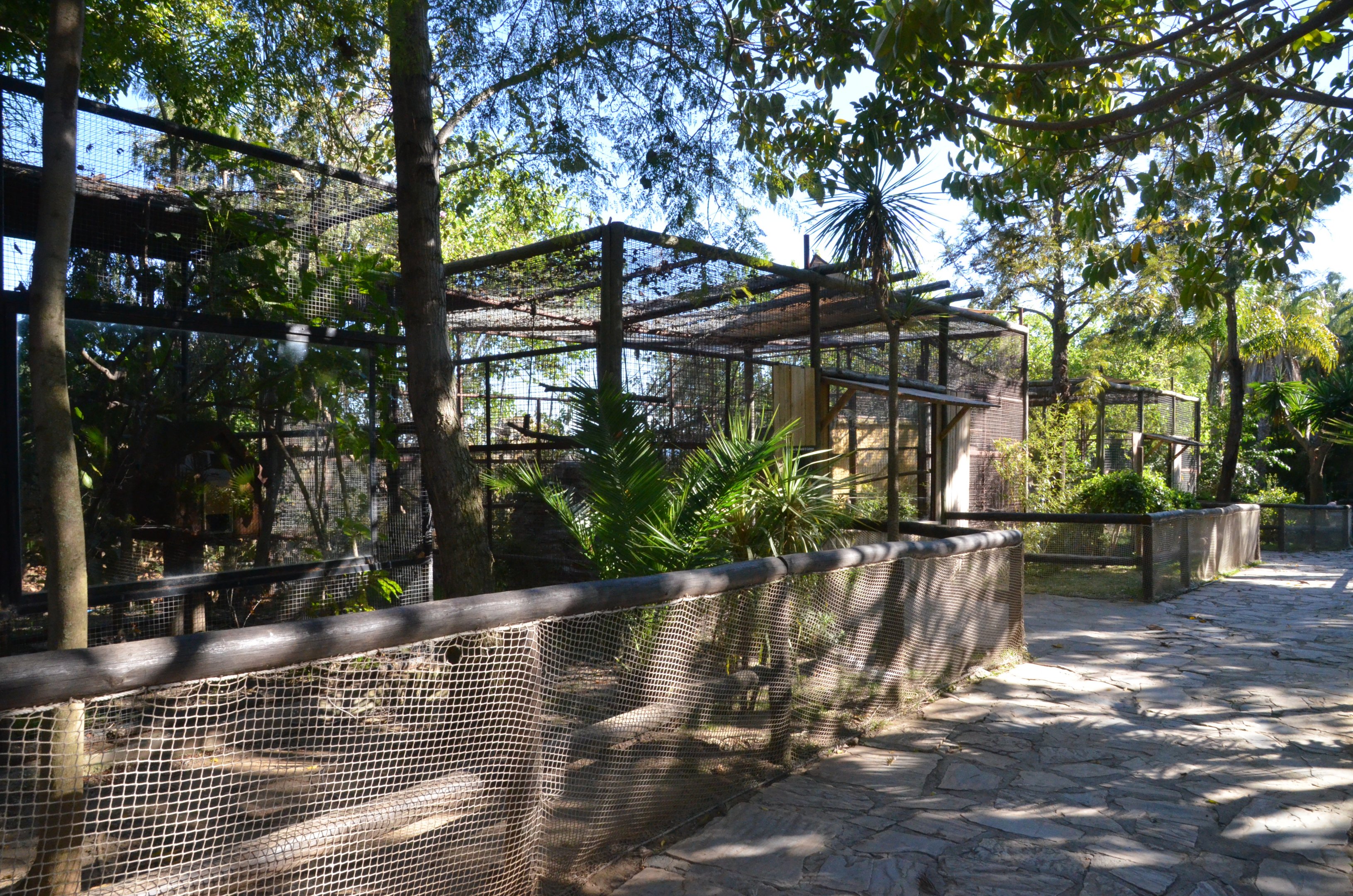 Marmoset/Tamarin Enclosures at Selwo Aventura, 13/03/19