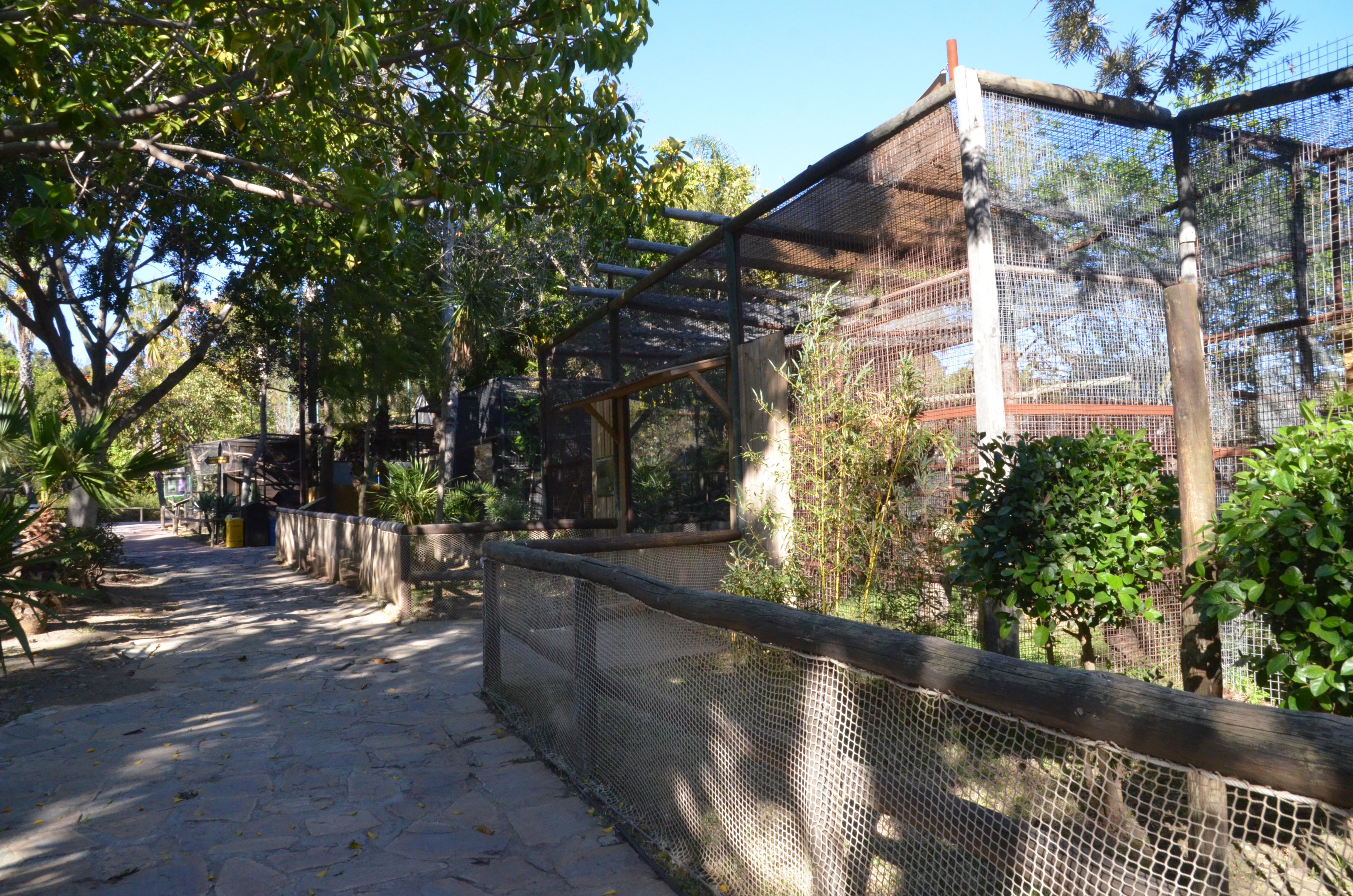 Marmoset/Tamarin Enclosures at Selwo Aventura, 13/03/19