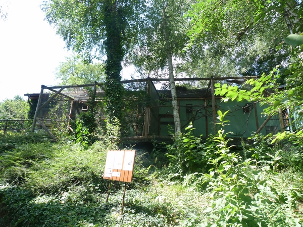 Marmoset/tamarin enclosures