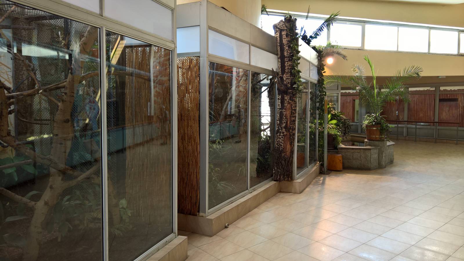 Marmoset & Tamarin enclosures