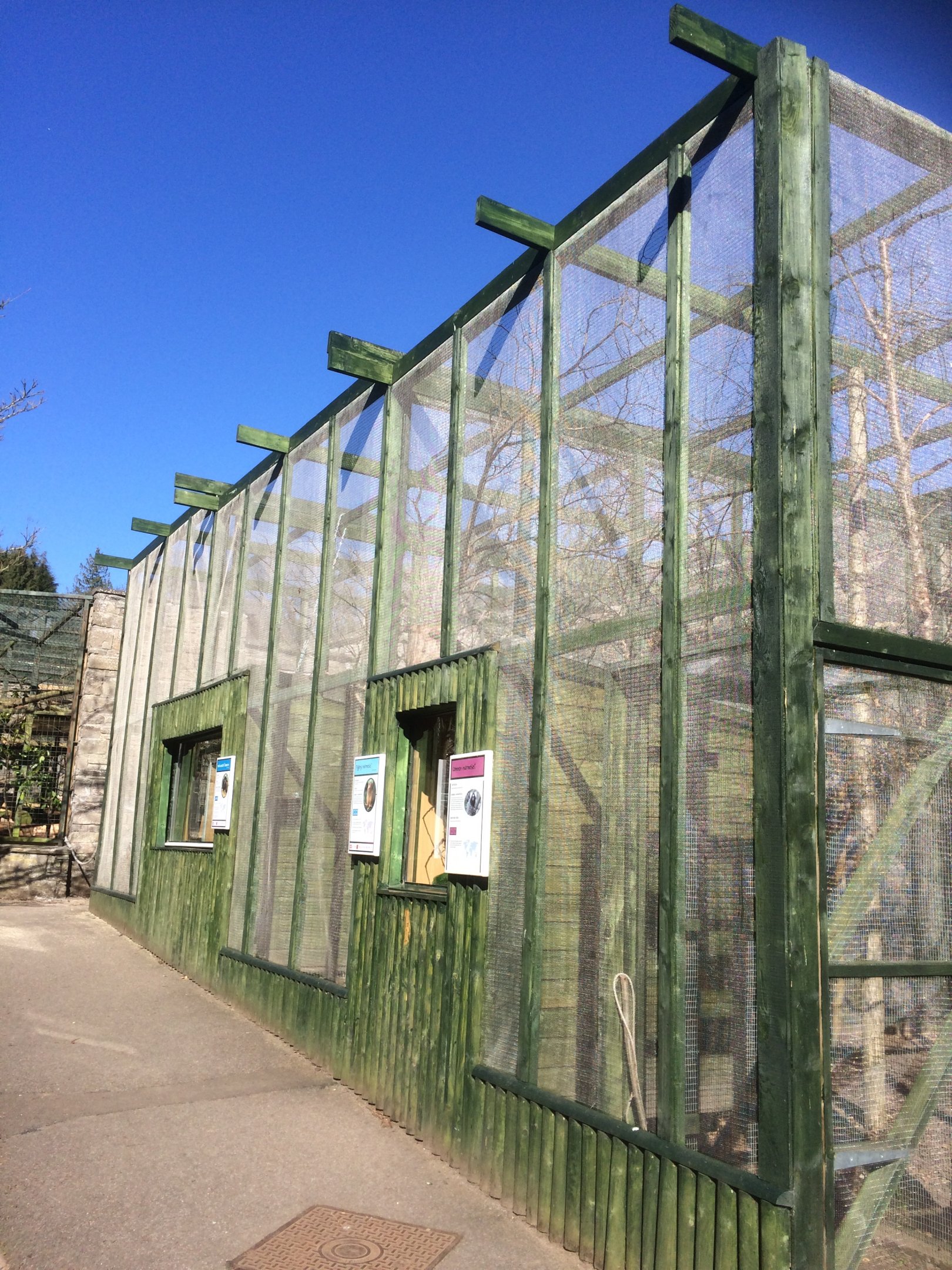Marmoset & tamarin enclosures