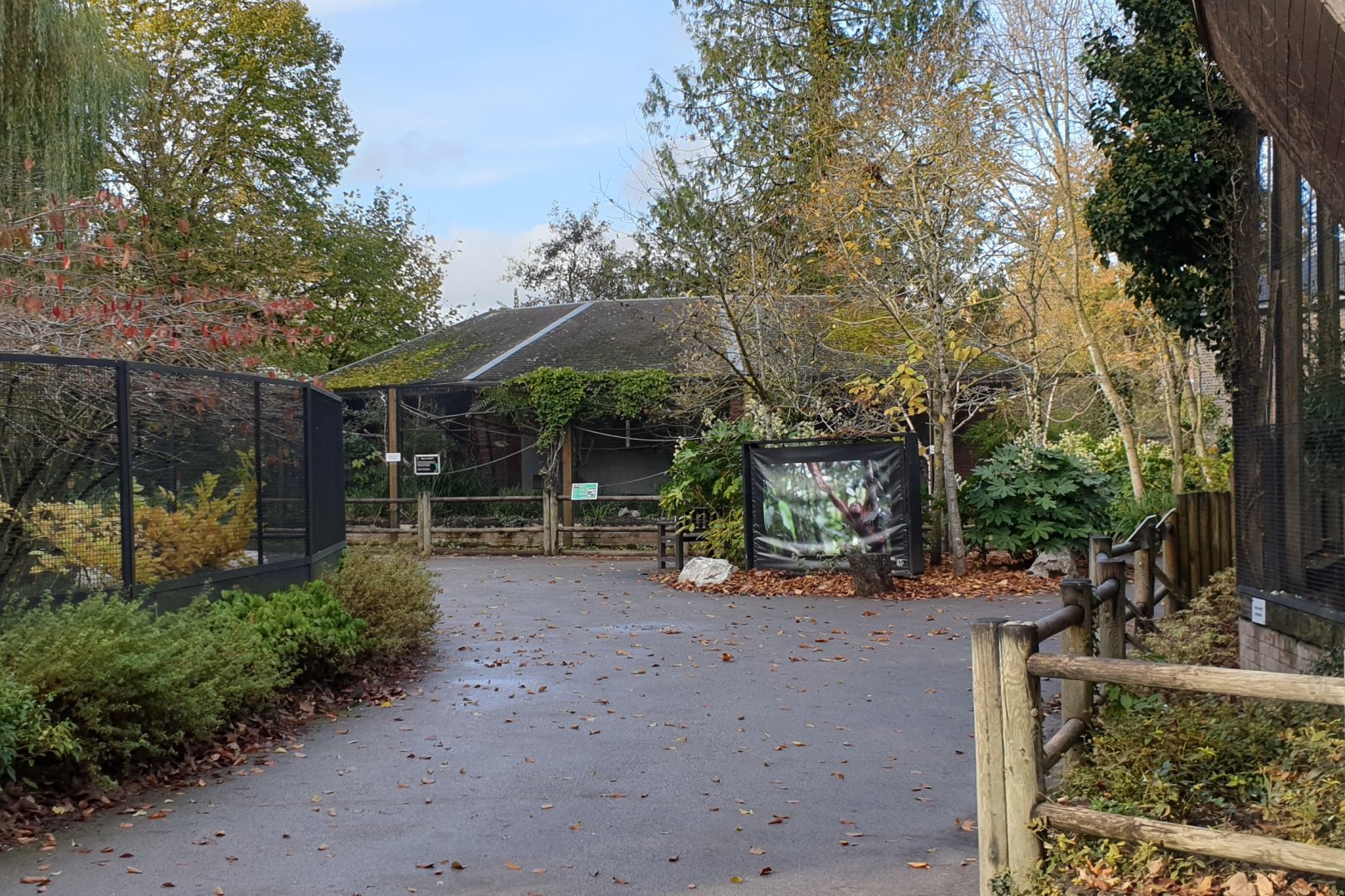 Marmoset - Tamarin enclosures