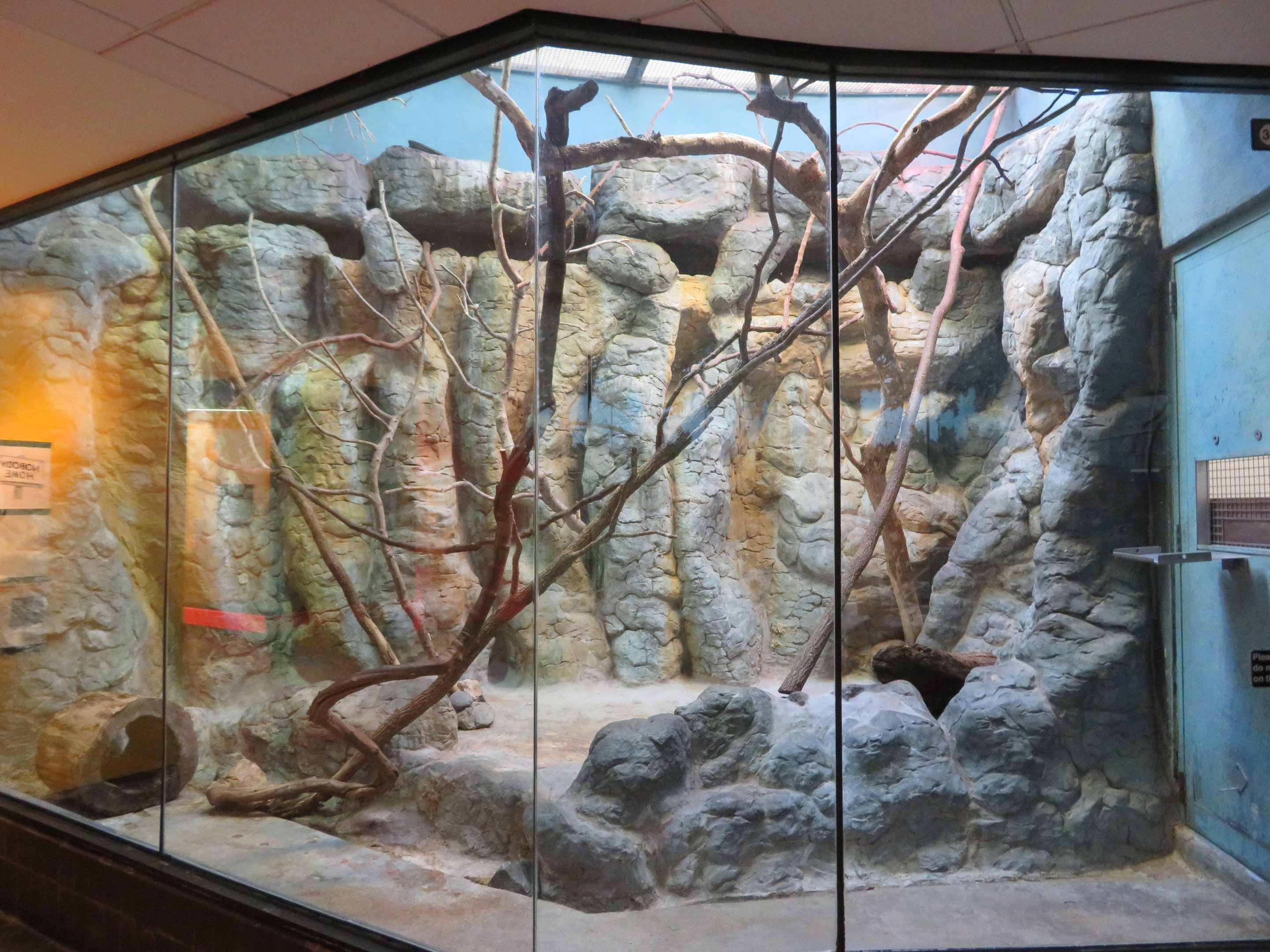 Marmoset/Tamarin Exhibit