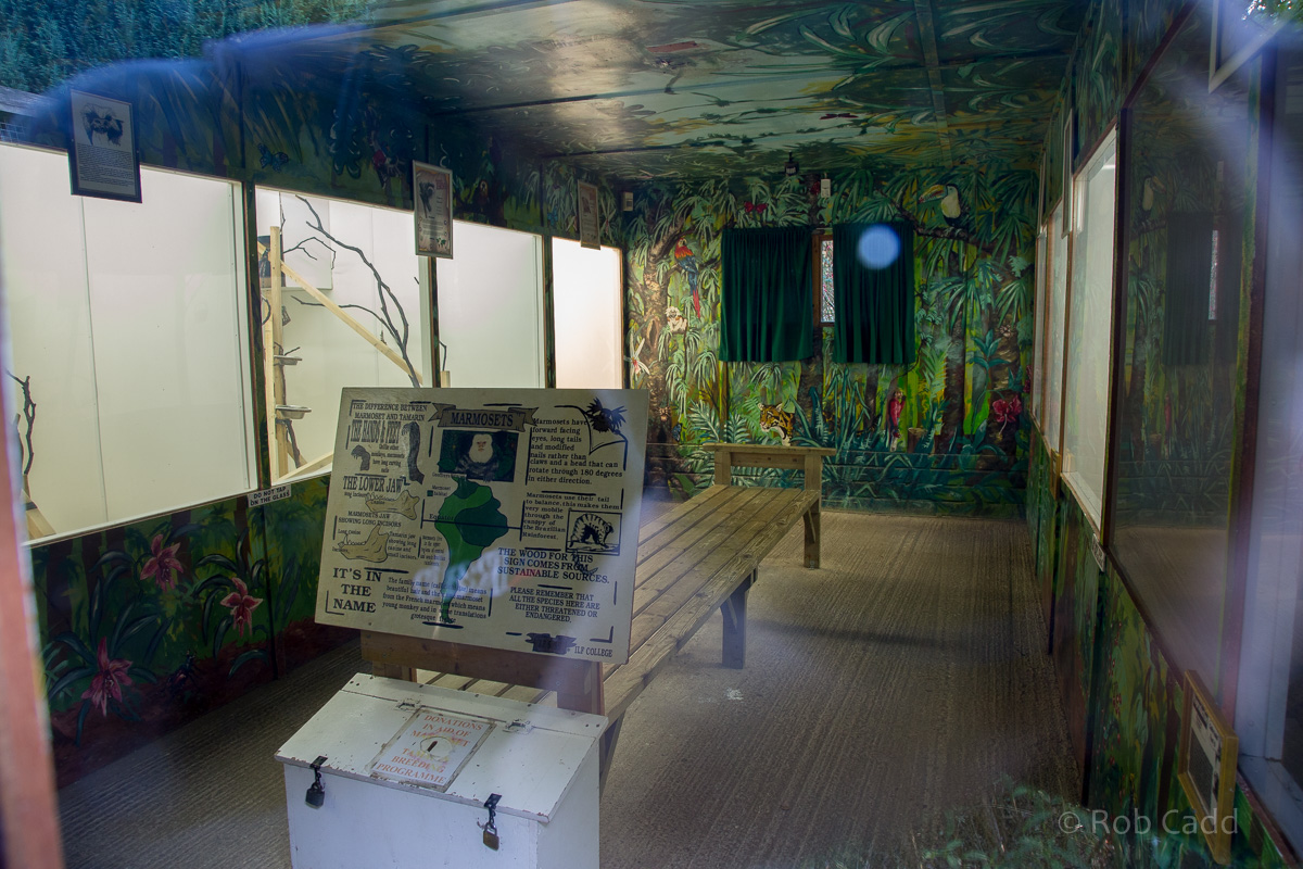Marmoset / tamarin house : Exmoor : 25 Sep 2015