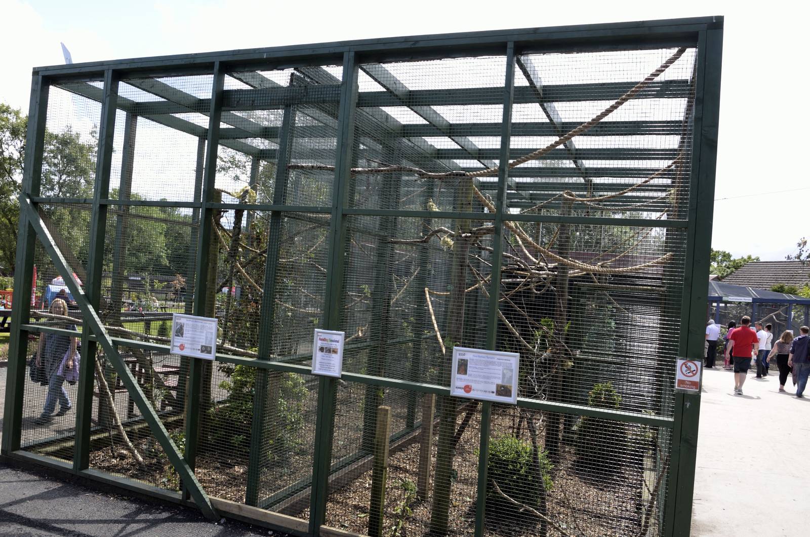 Marmoset/Tamrin Enclosures-06/07/2014