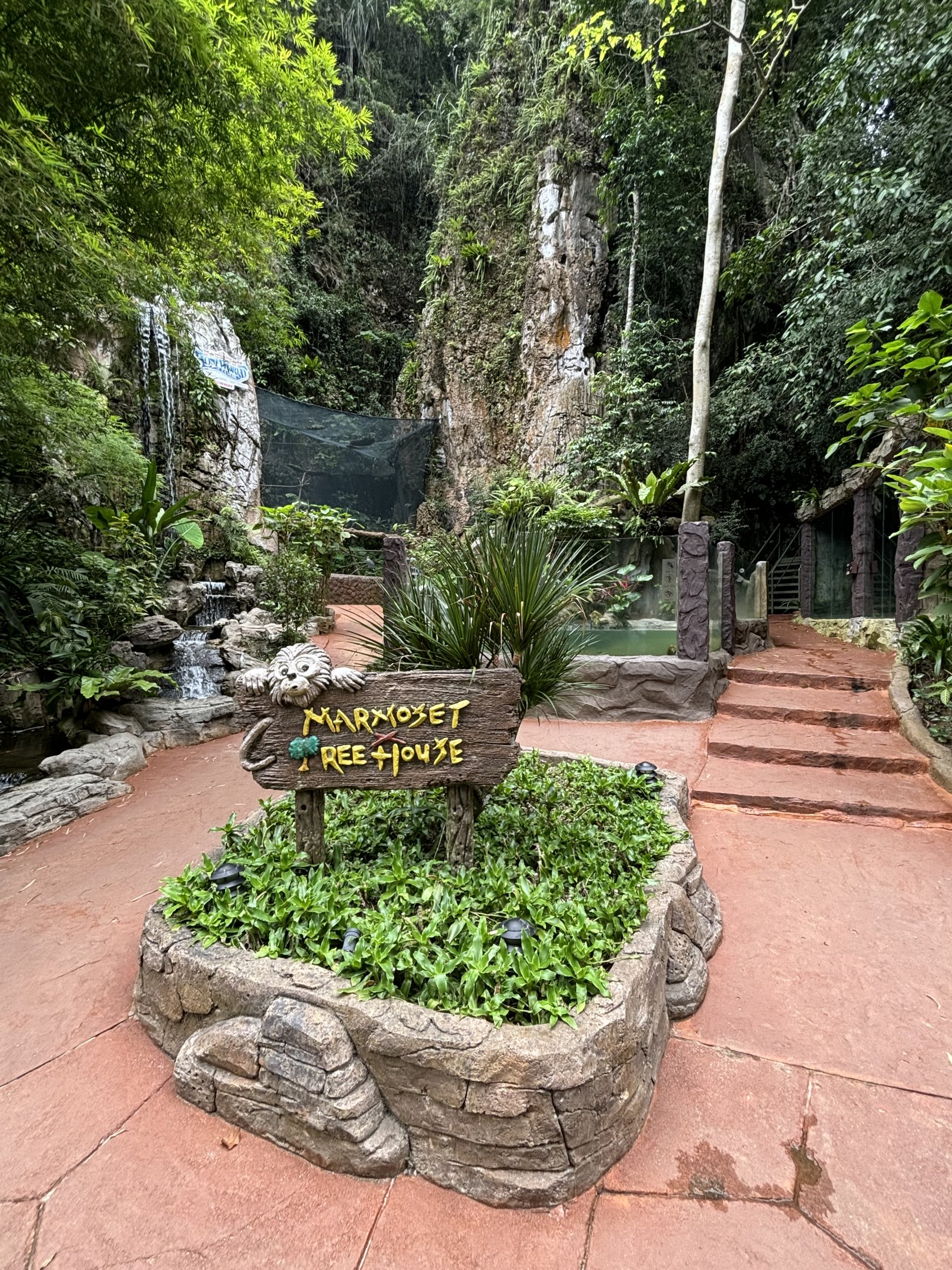 Marmoset Treehouse Path - Lost World of Tambun